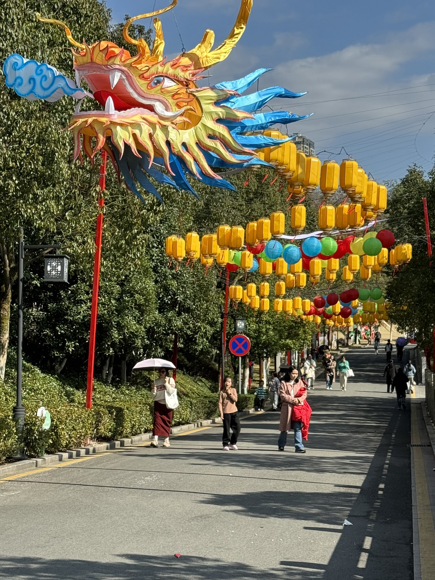 文祥湖公园旅行图片 3