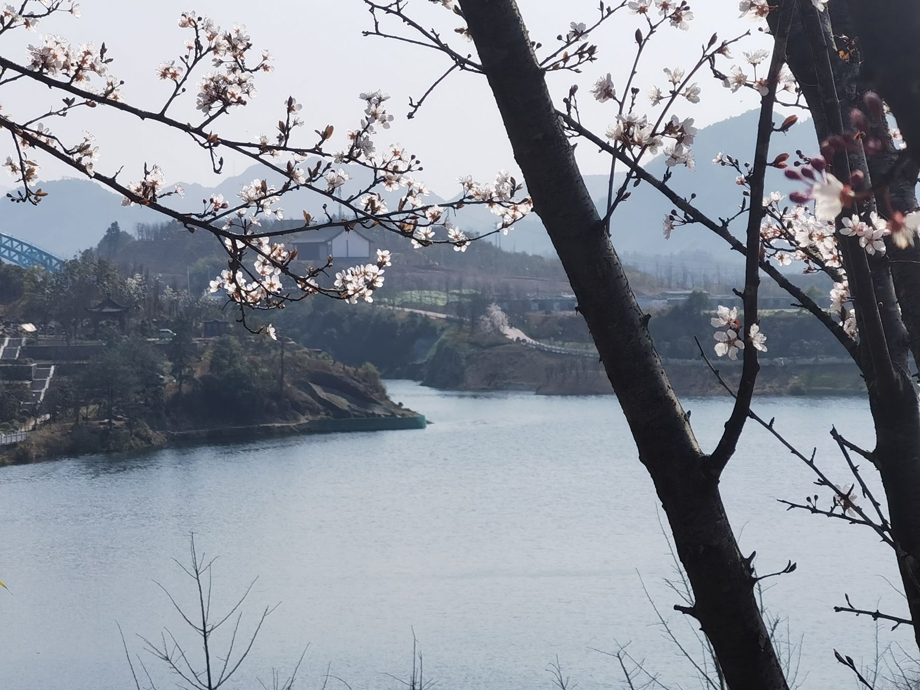 文祥湖公园旅行图片 2