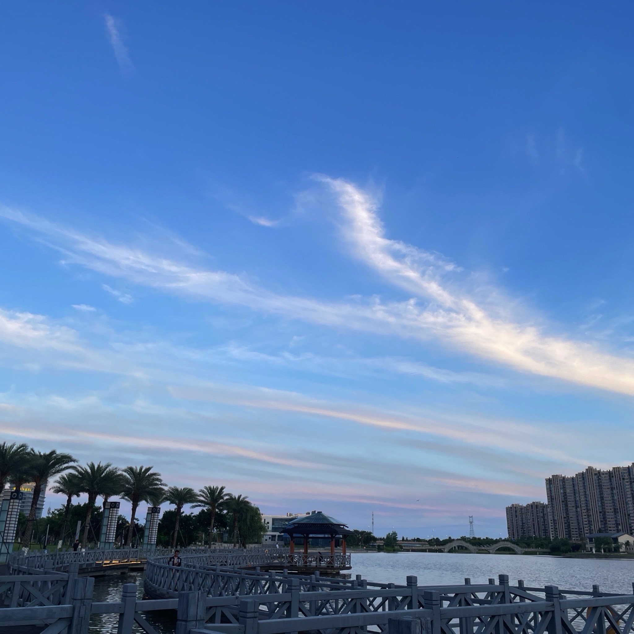 金海湖公园旅行图片 3