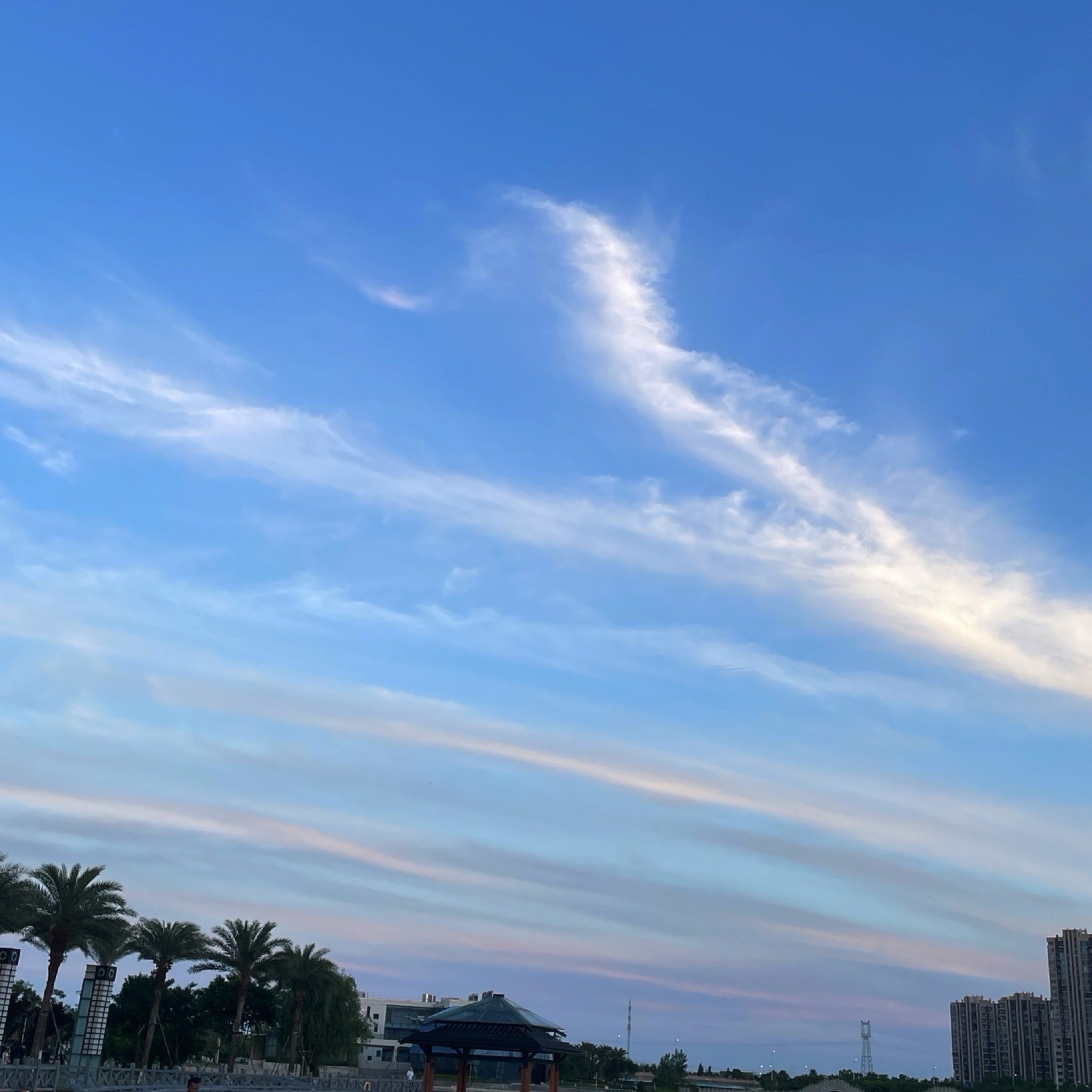 金海湖公园旅行图片 2
