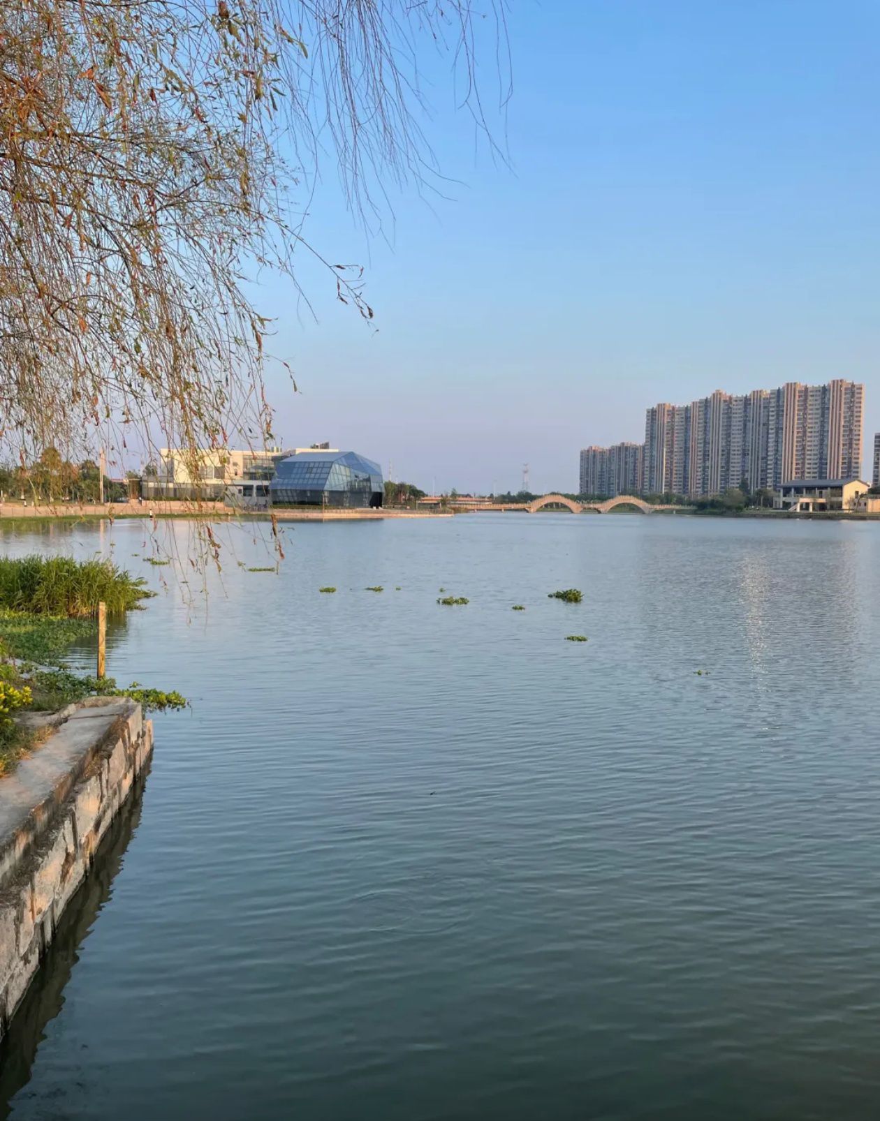 金海湖公园旅行图片 2