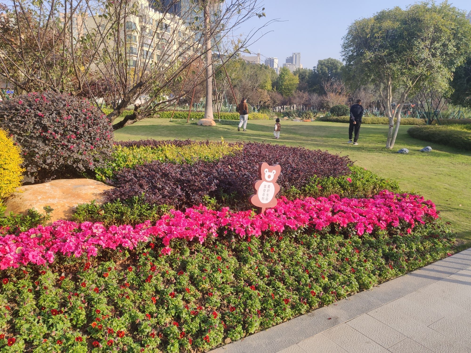 双雁公园旅行图片 3