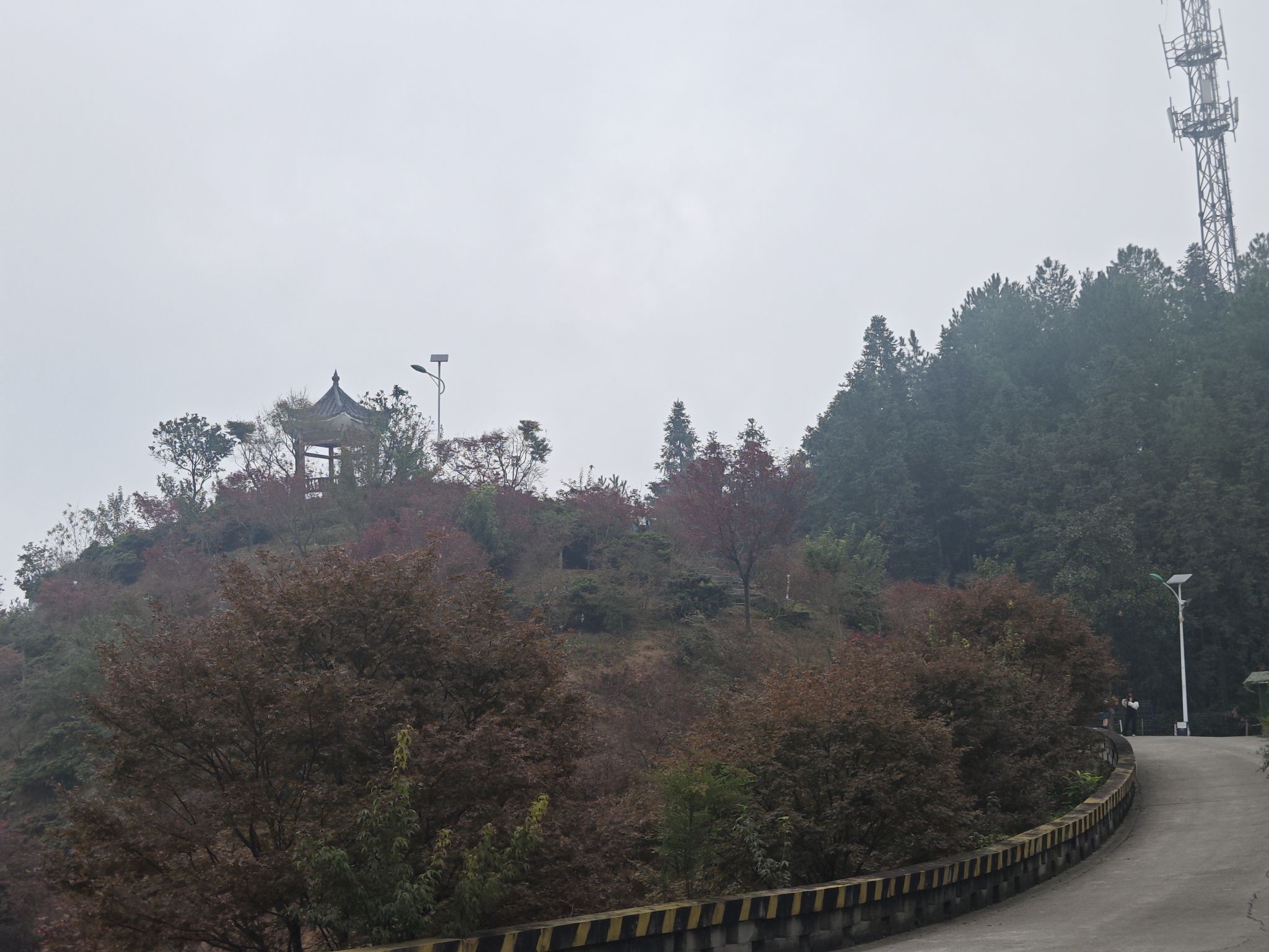 五洲园旅行图片 2