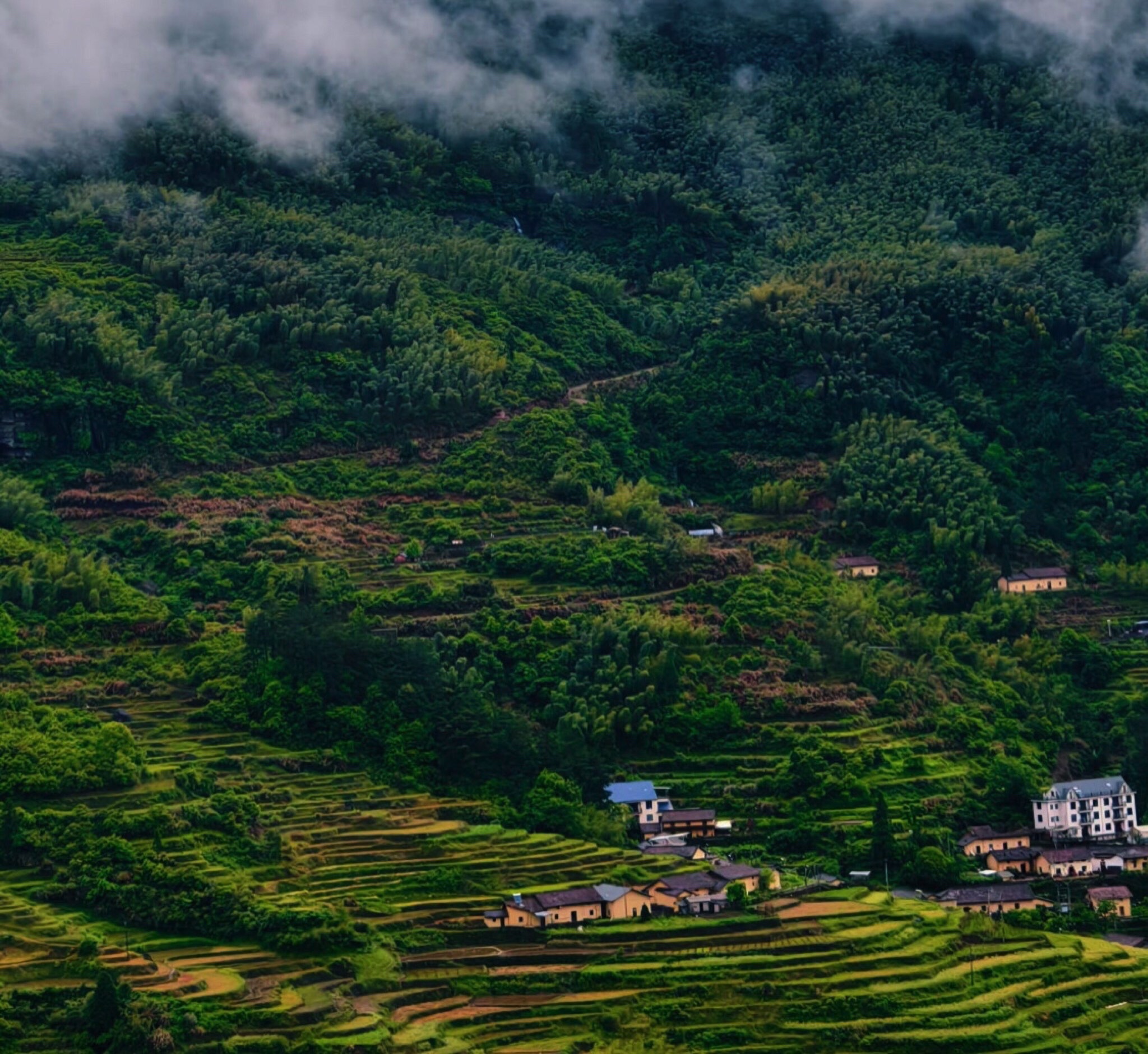 北斗崖景区旅行图片 1