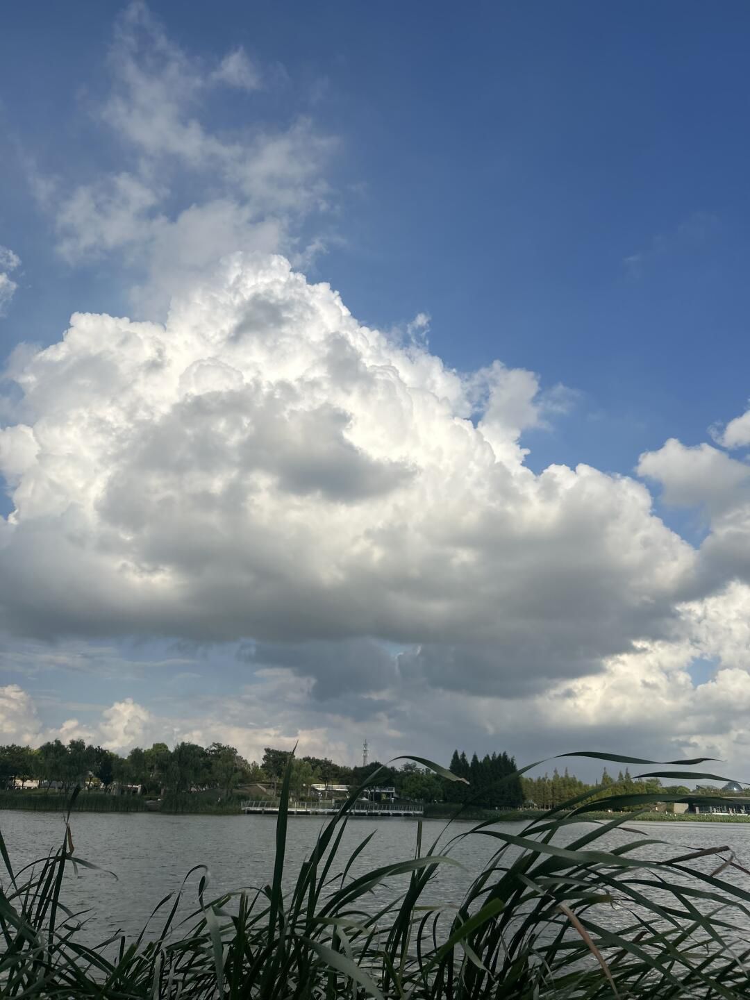 远香湖旅行图片 1