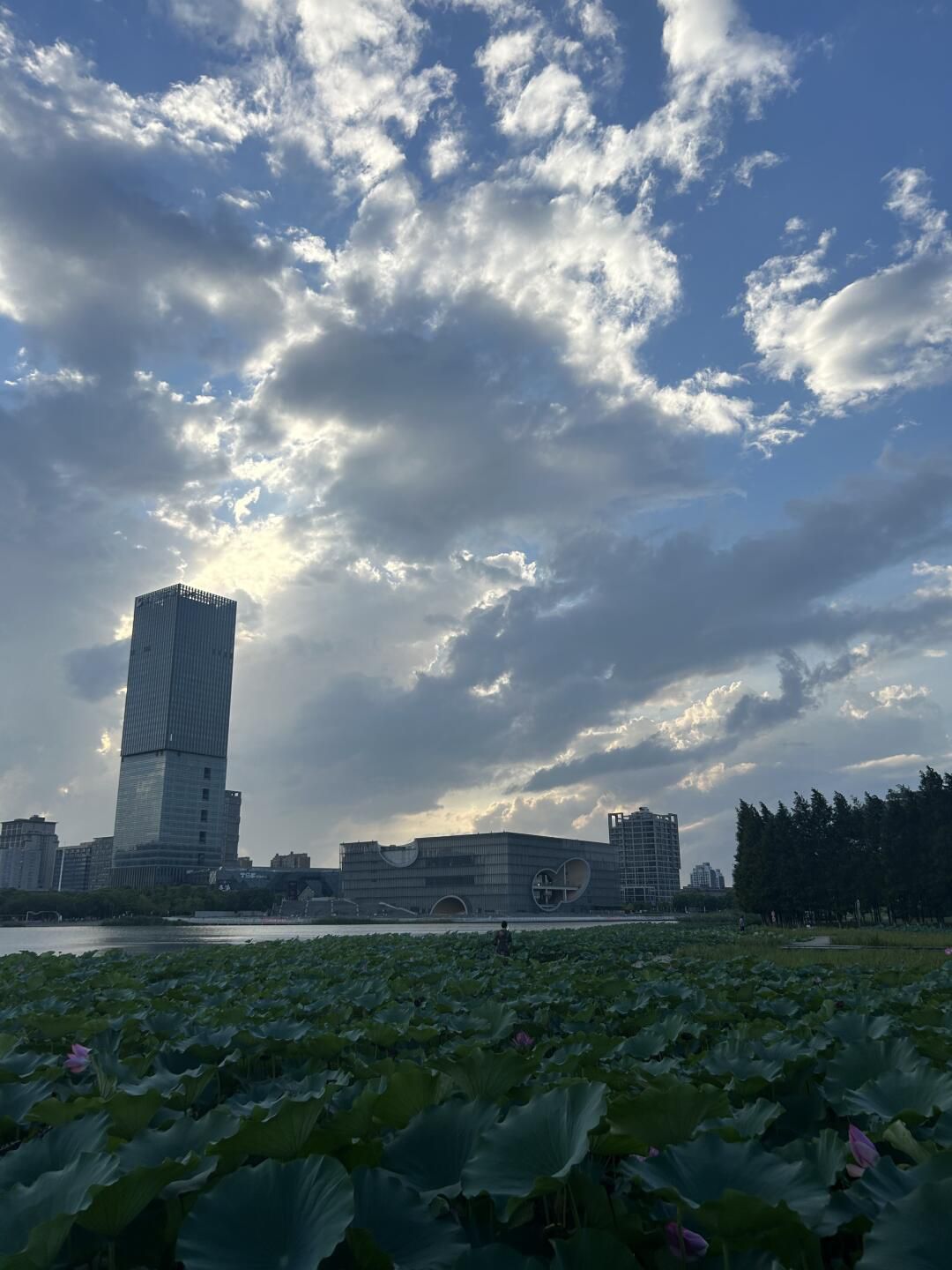 远香湖旅行图片 2
