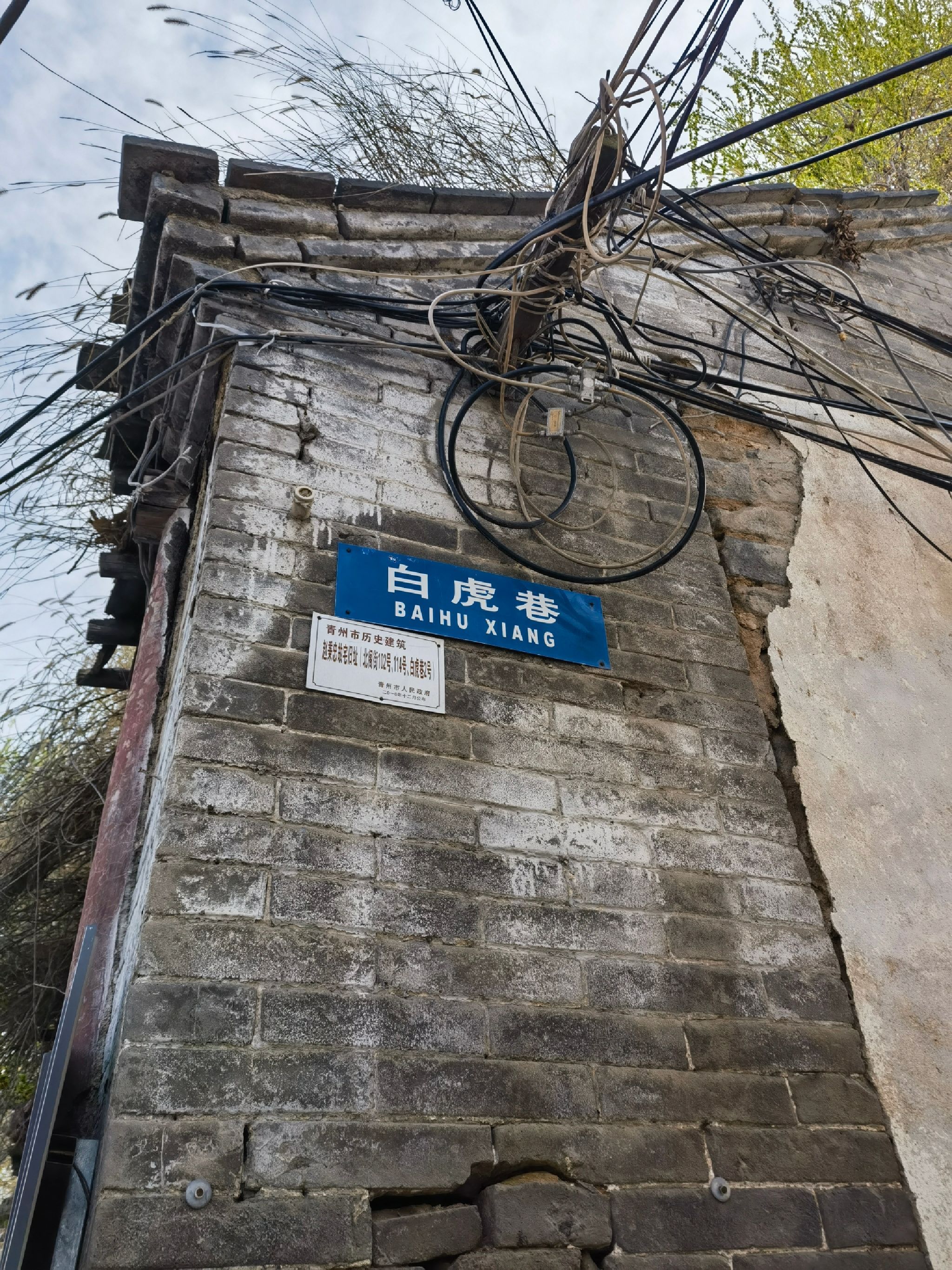 青州昭德古街旅行图片 3