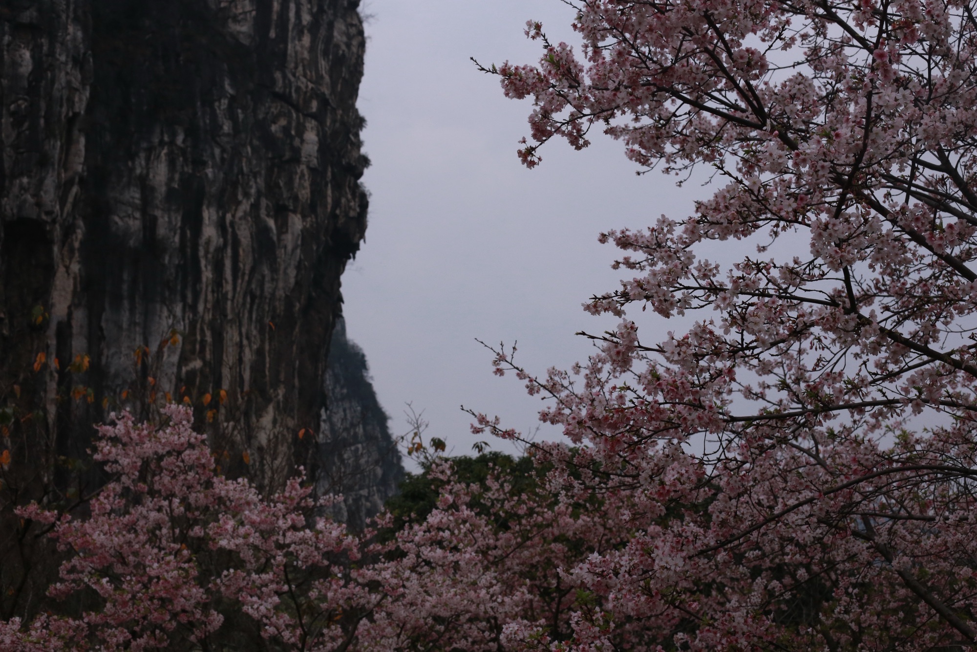 南溪山公园旅行图片 3