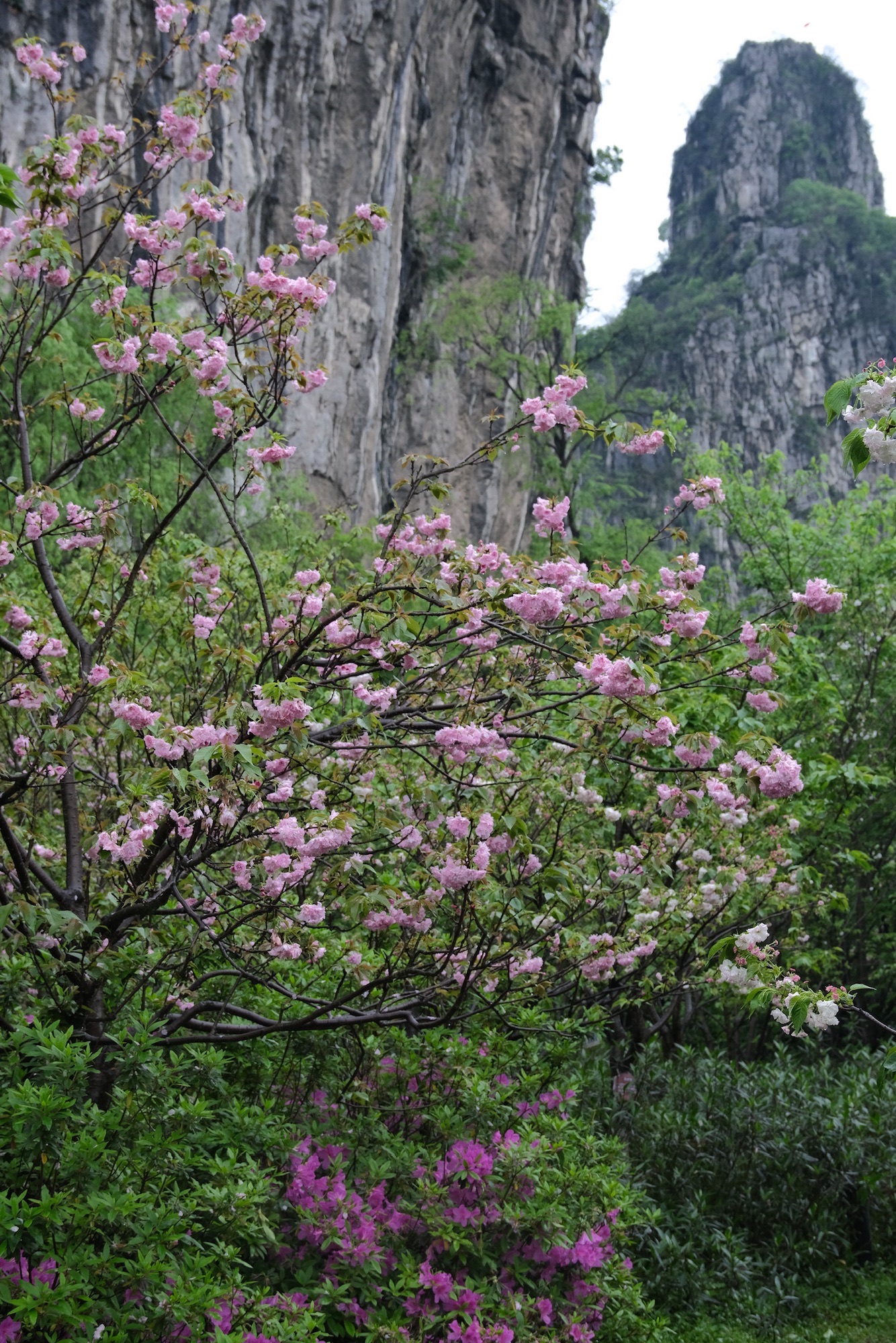 南溪山公园旅行图片 1