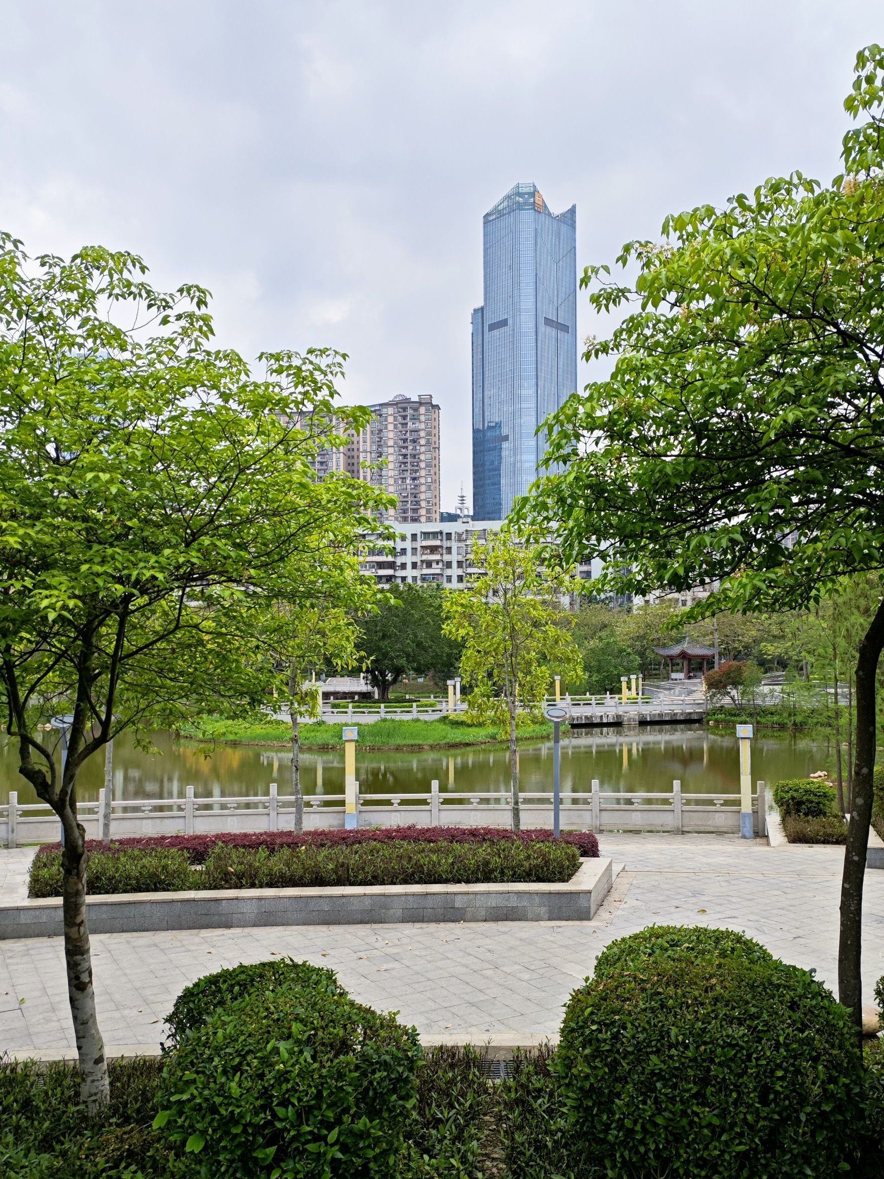 新湖公园旅行图片 1