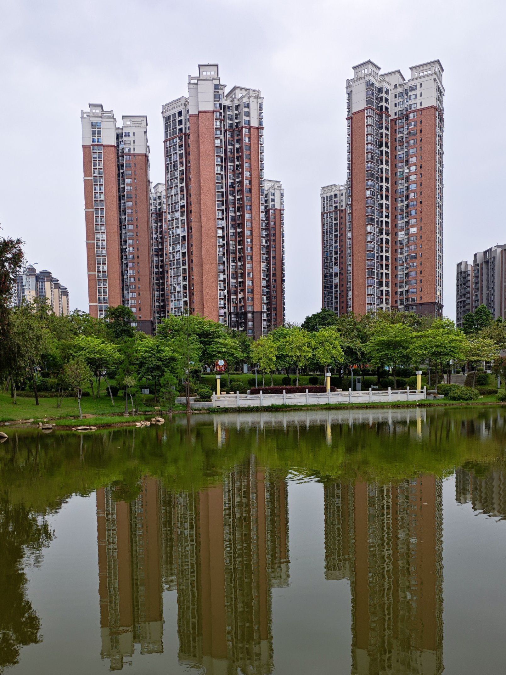 新湖公园旅行图片 2