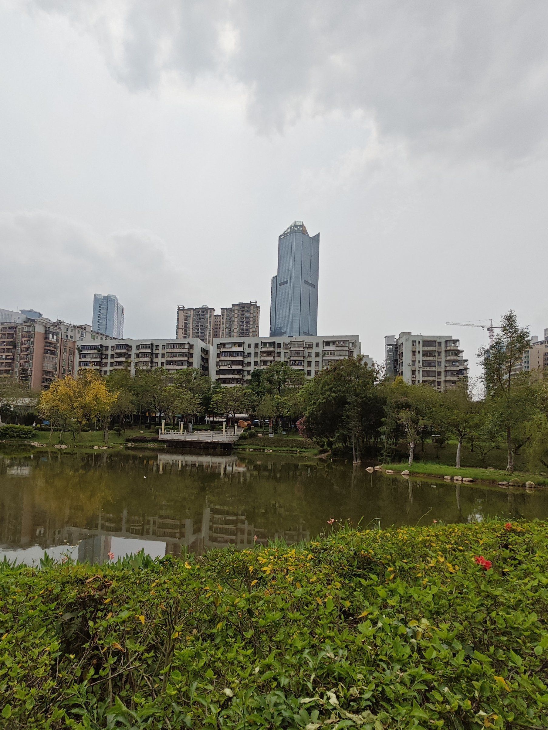 新湖公园旅行图片 3