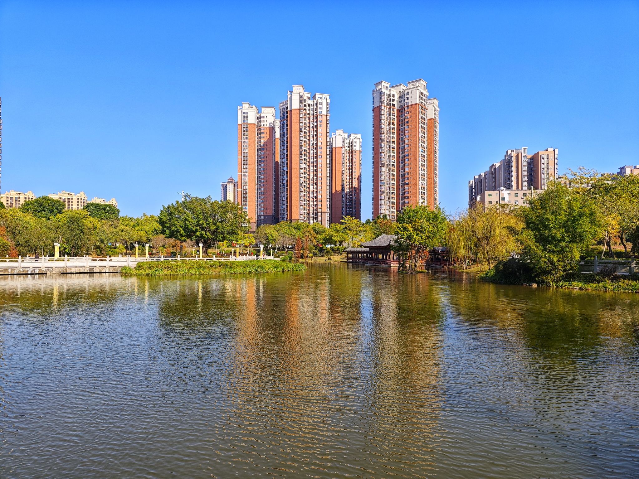 新湖公园旅行图片 3