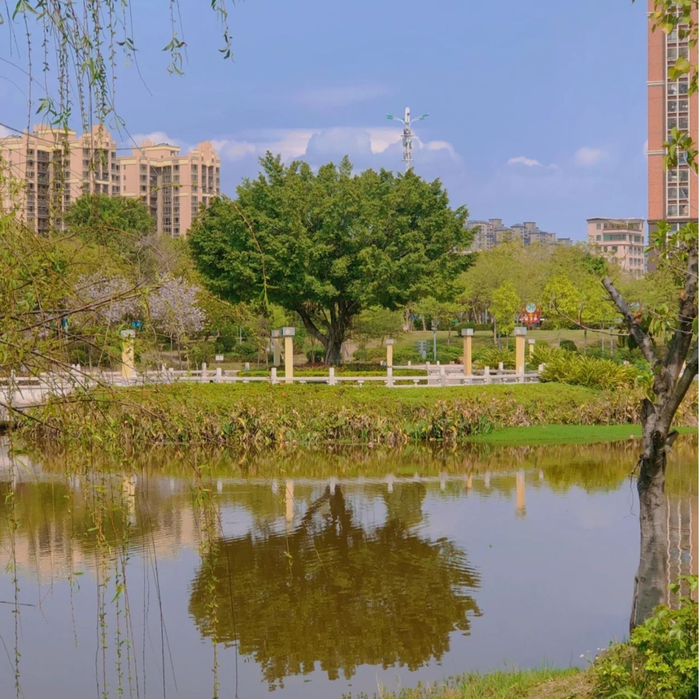 新湖公园旅行图片 2