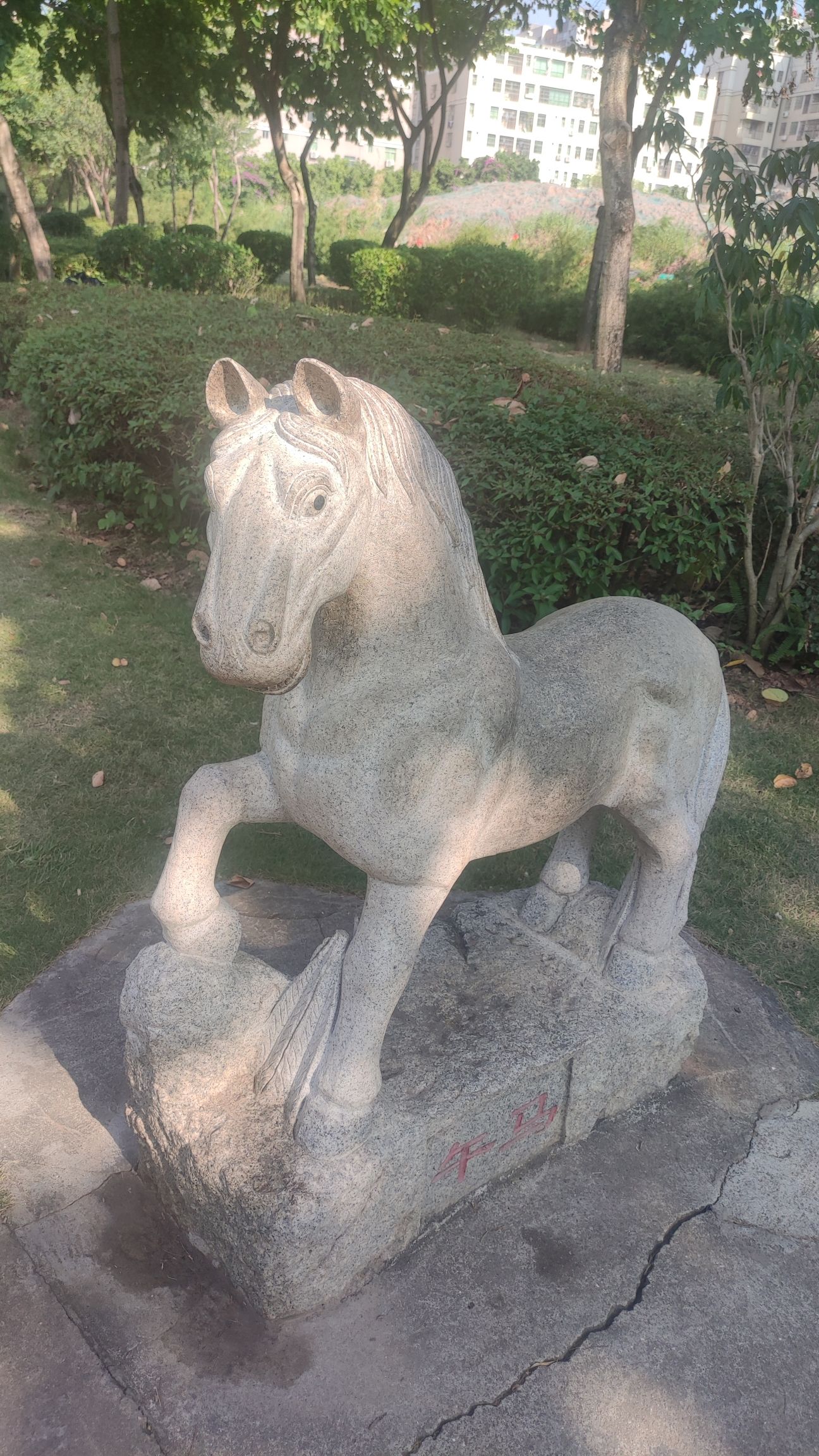 新湖公园旅行图片 2