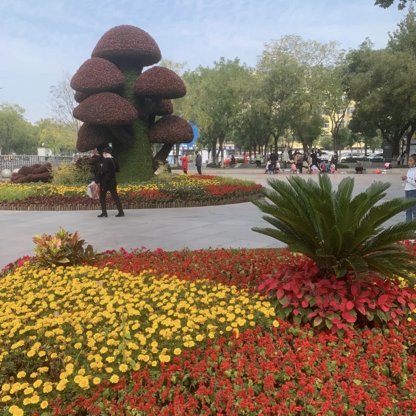 聊城公园旅行图片 1