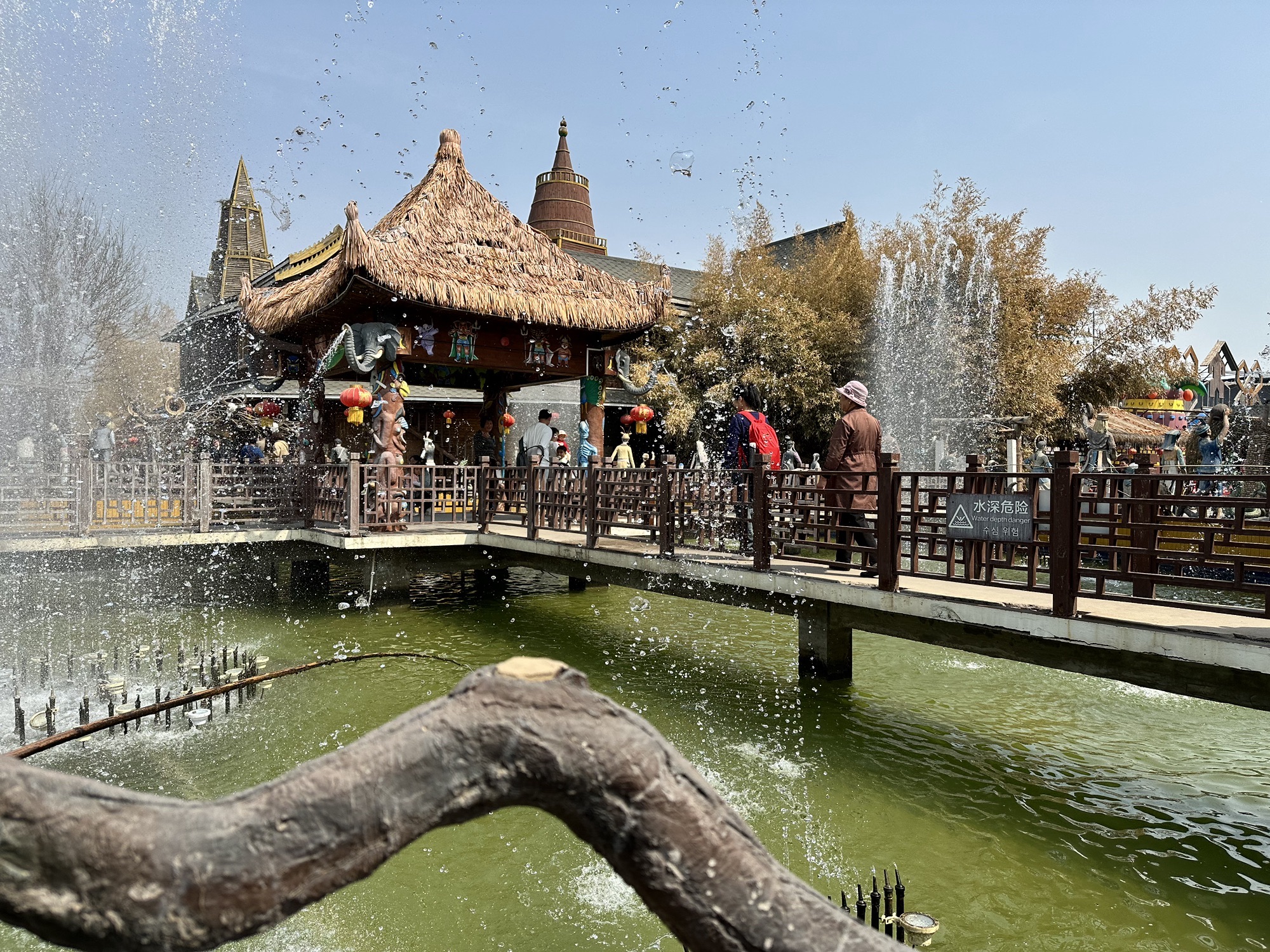 呀路古热带植物园旅行图片 2