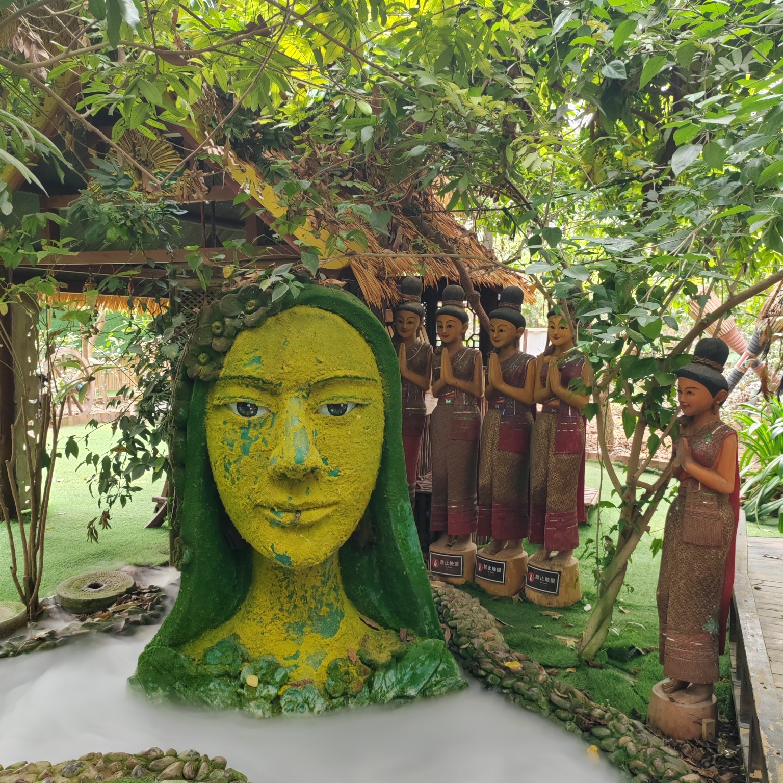 呀路古热带植物园旅行图片 2