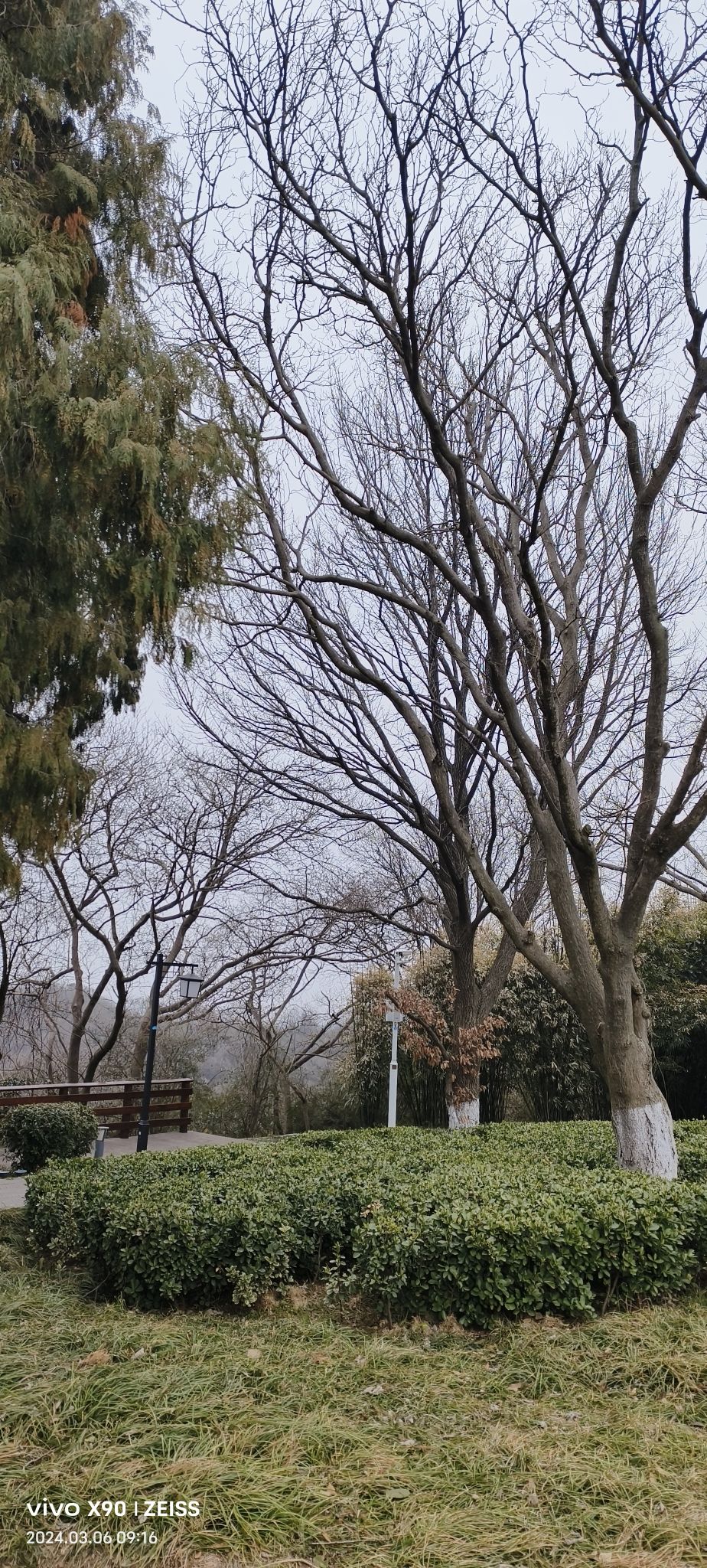 千佛洞森林公园