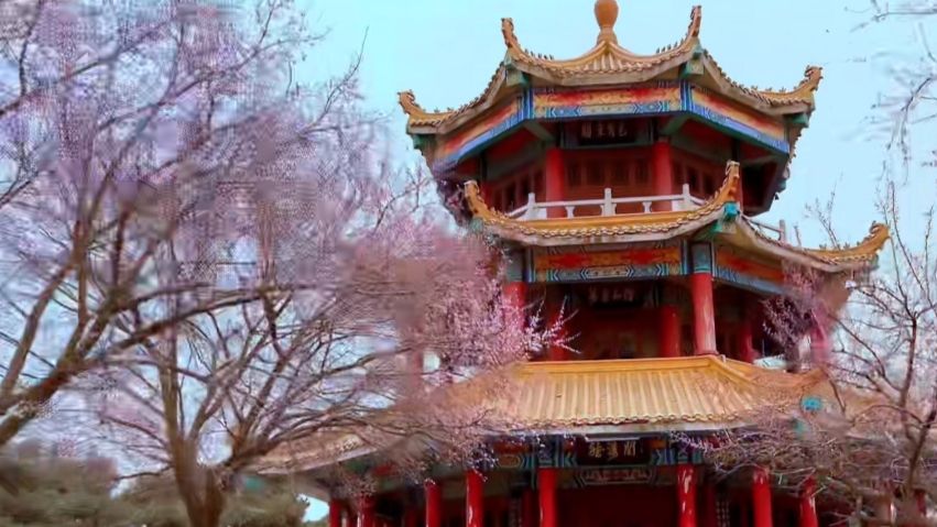 松涛园旅行图片 2