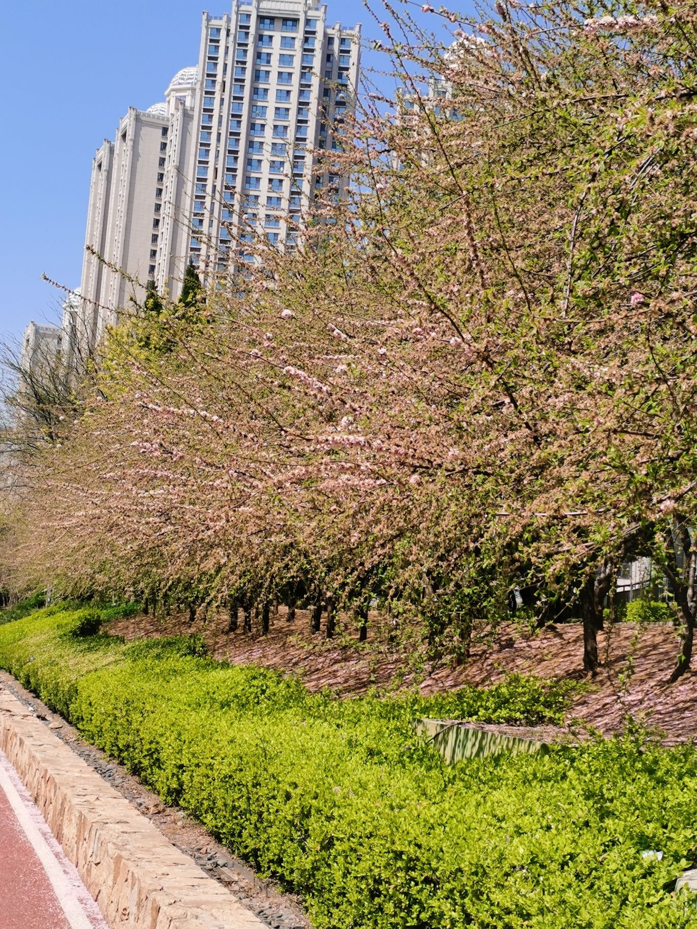 同泰广场旅行图片 3