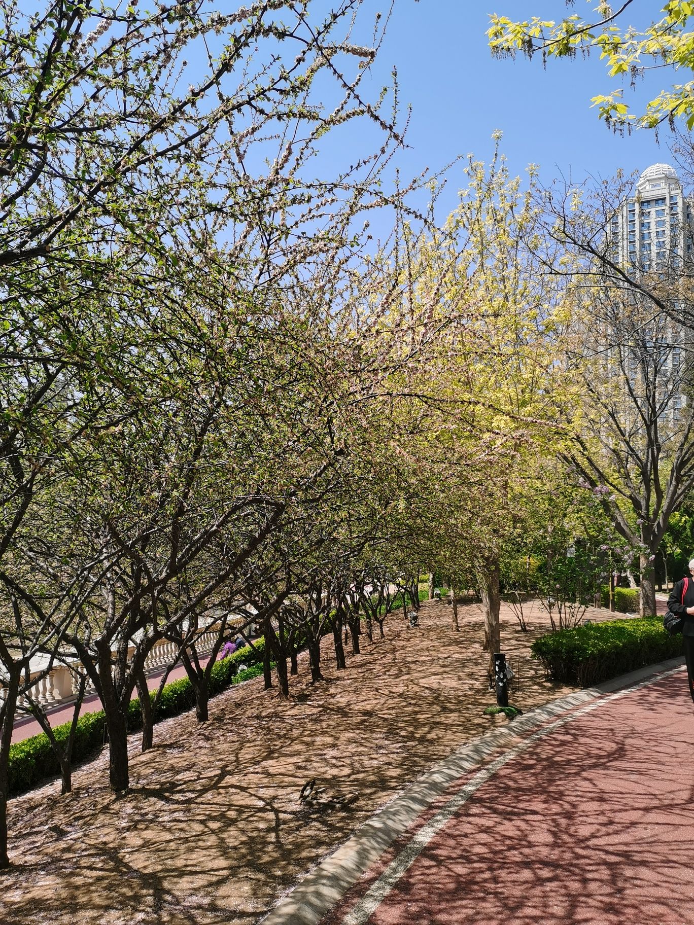 同泰广场旅行图片 1
