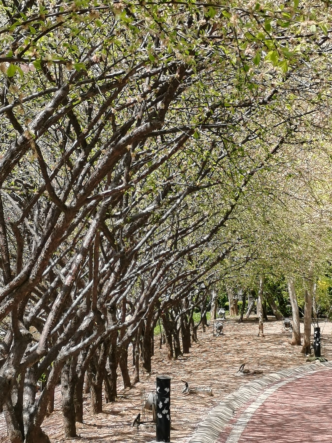 同泰广场旅行图片 2