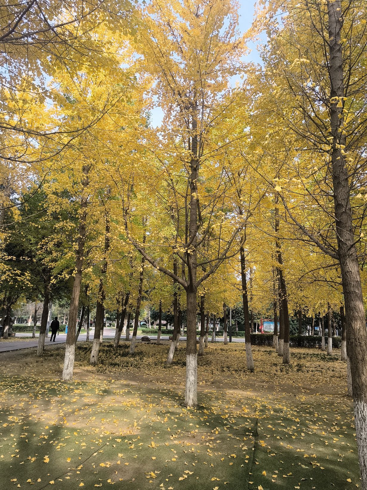 廉政文化广场旅行图片 2