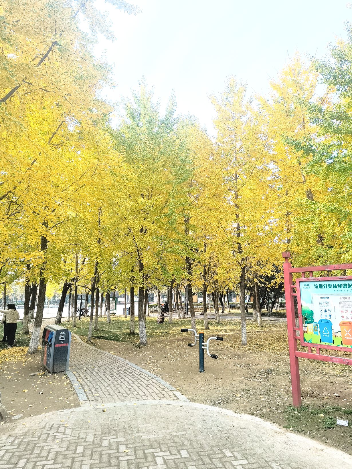 廉政文化广场旅行图片 1