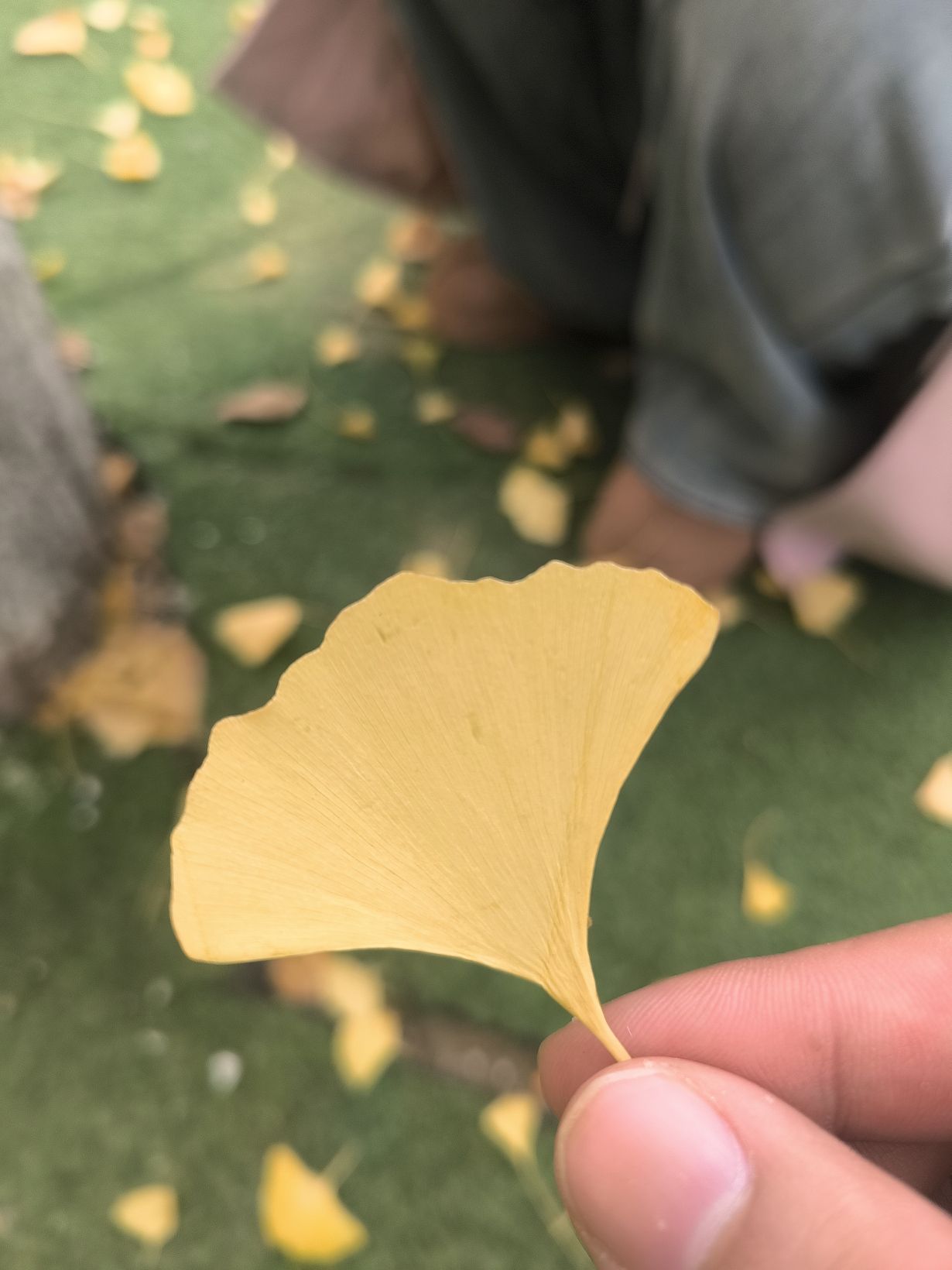 廉政文化广场旅行图片 3