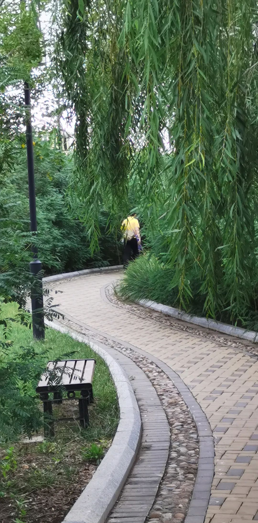 港东新城溪谷公园旅行图片 1