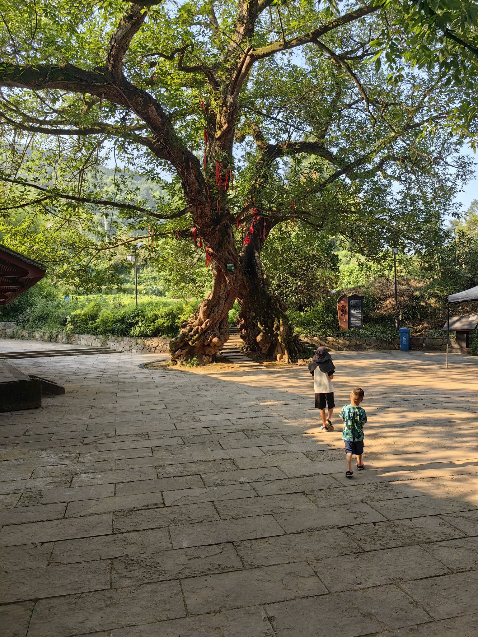 铜梁黄桷门旅行图片 2