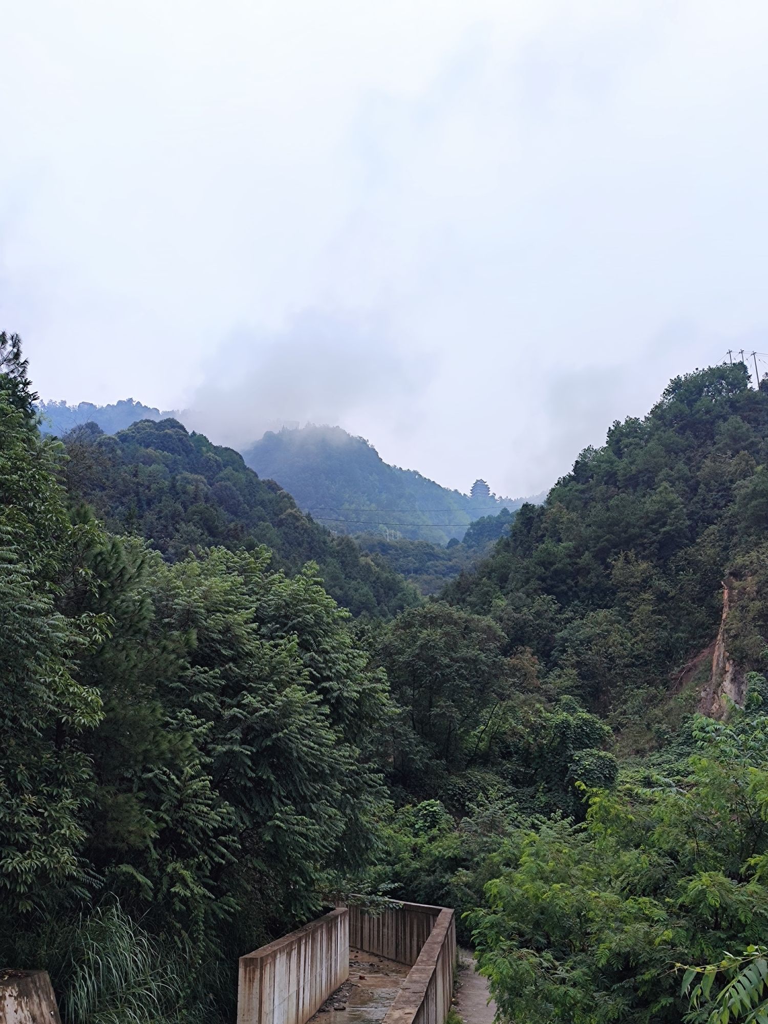 铜梁黄桷门旅行图片 3
