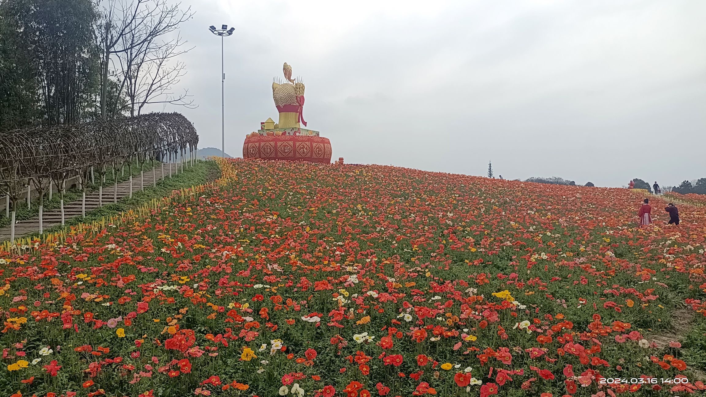 奇彩梦园景区旅行图片 3