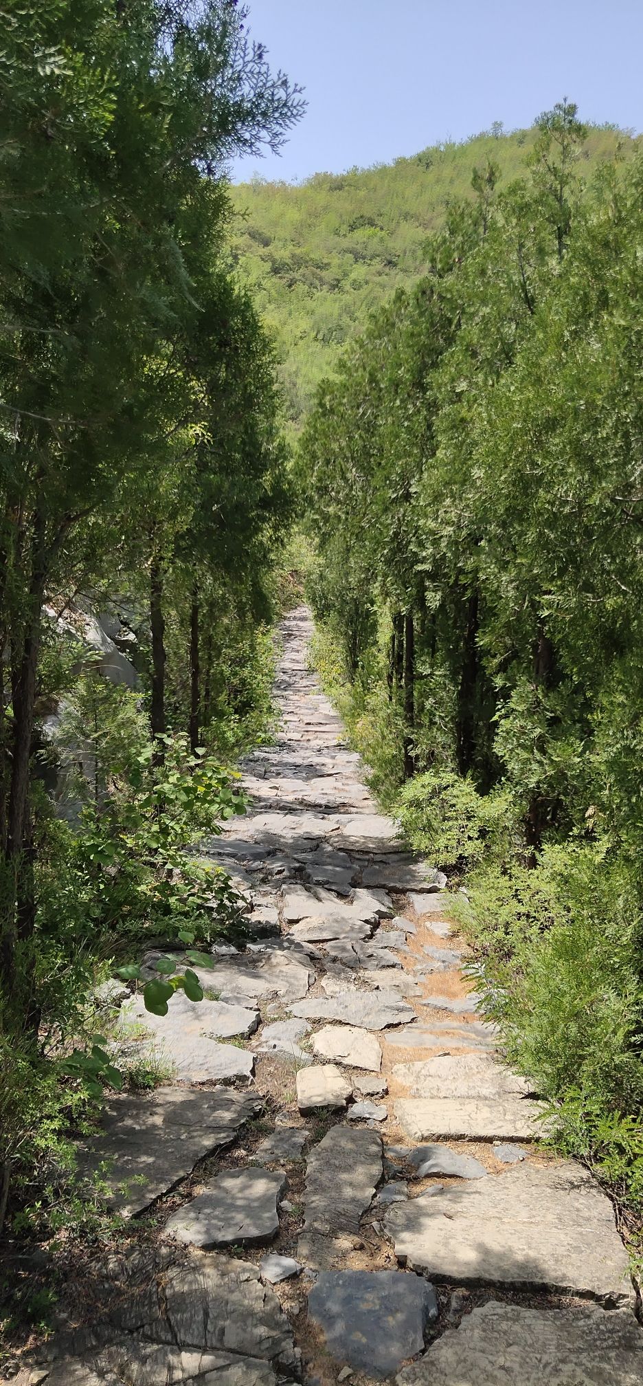 云台溶洞景区旅行图片 3