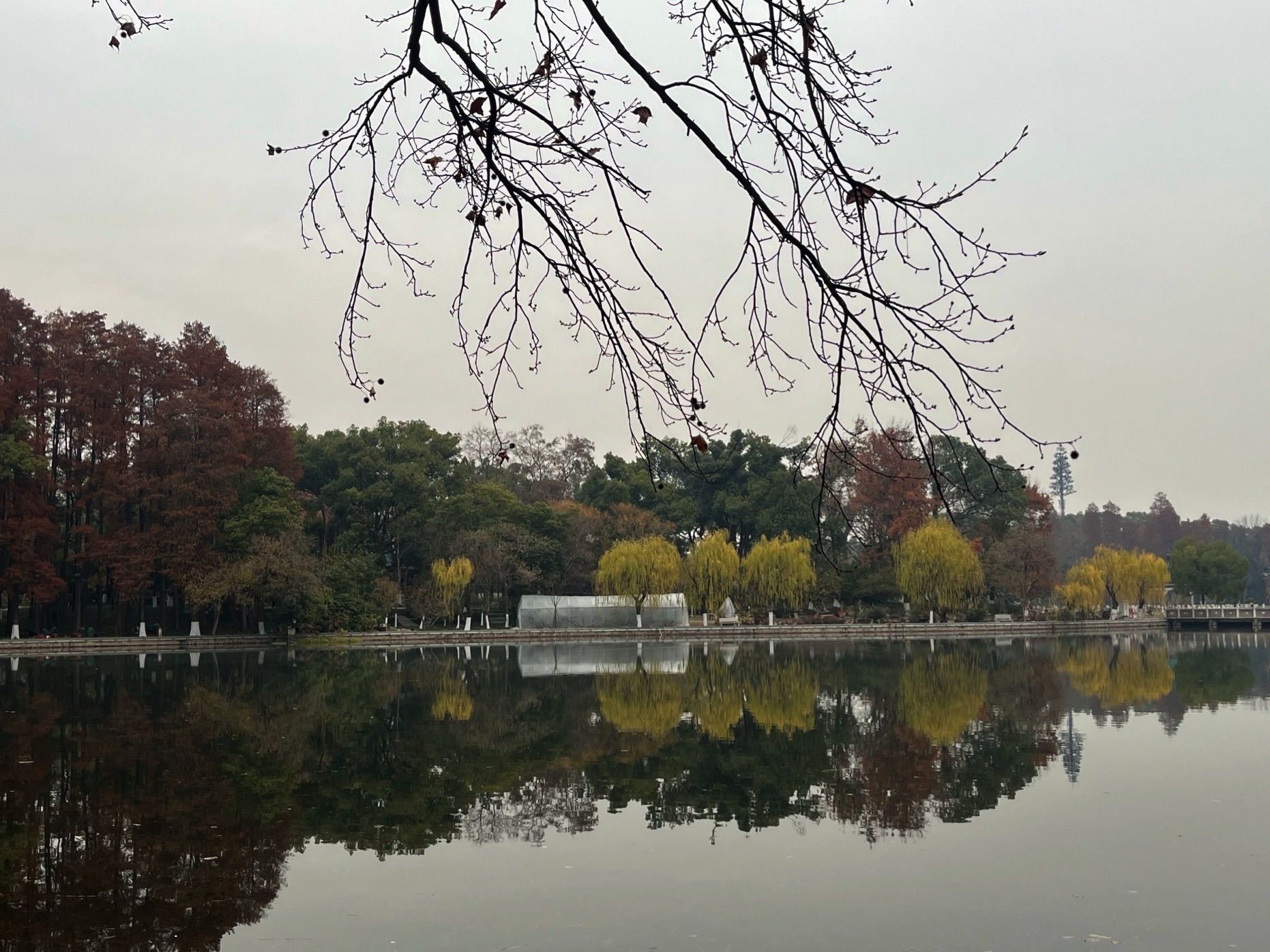 东湖公园旅行图片 1