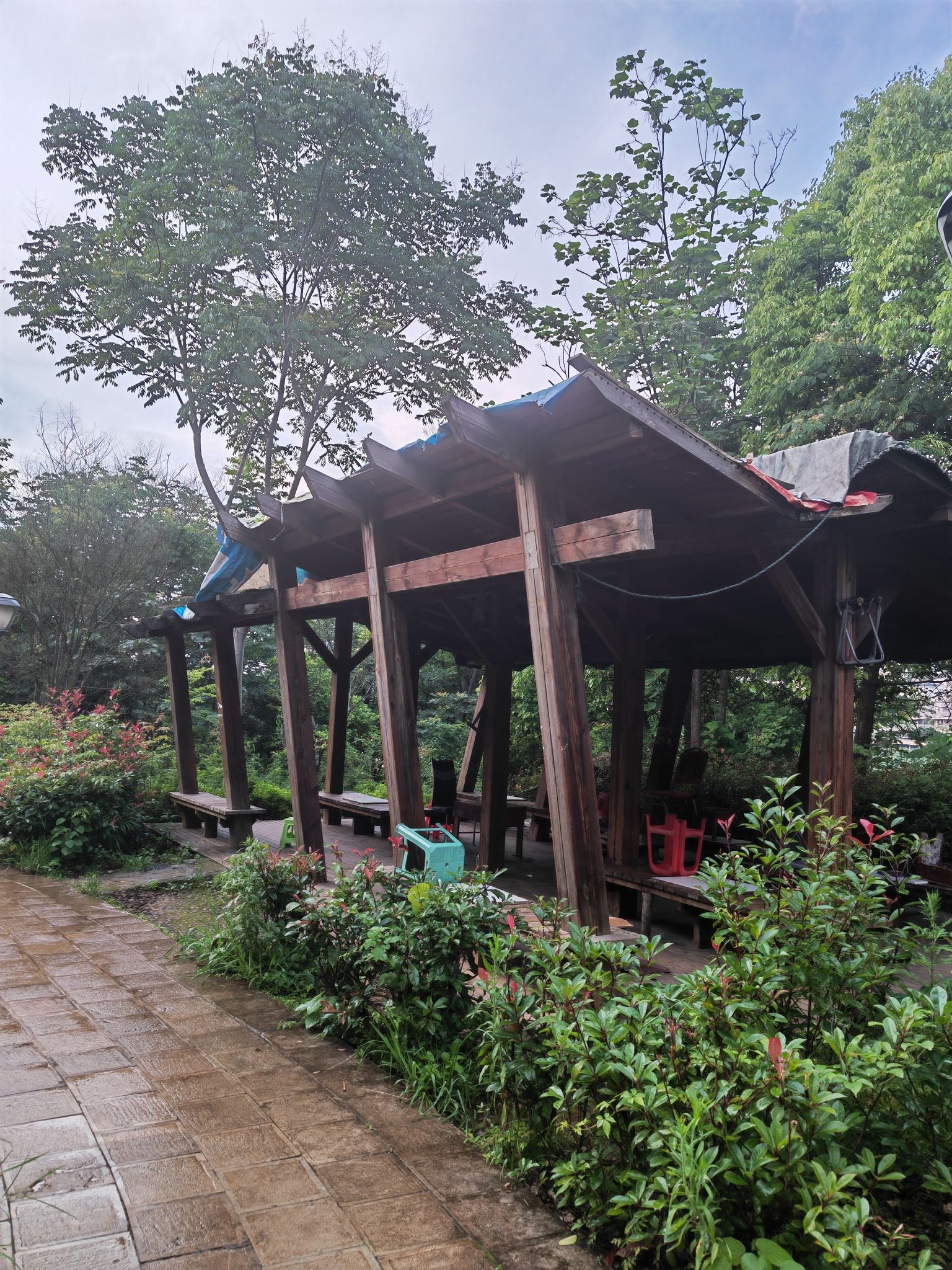 东湖公园旅行图片 2