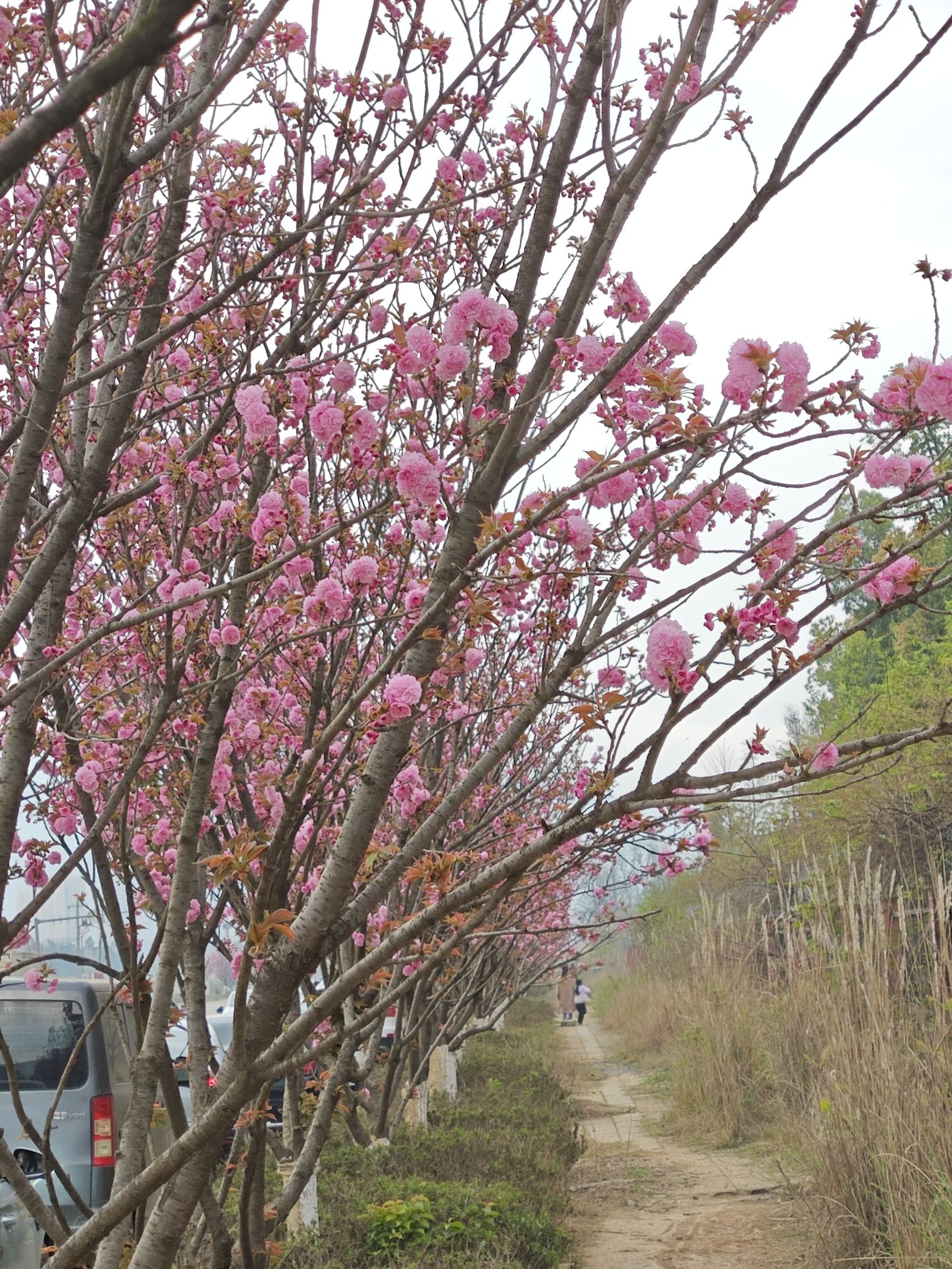 东湖公园旅行图片 3