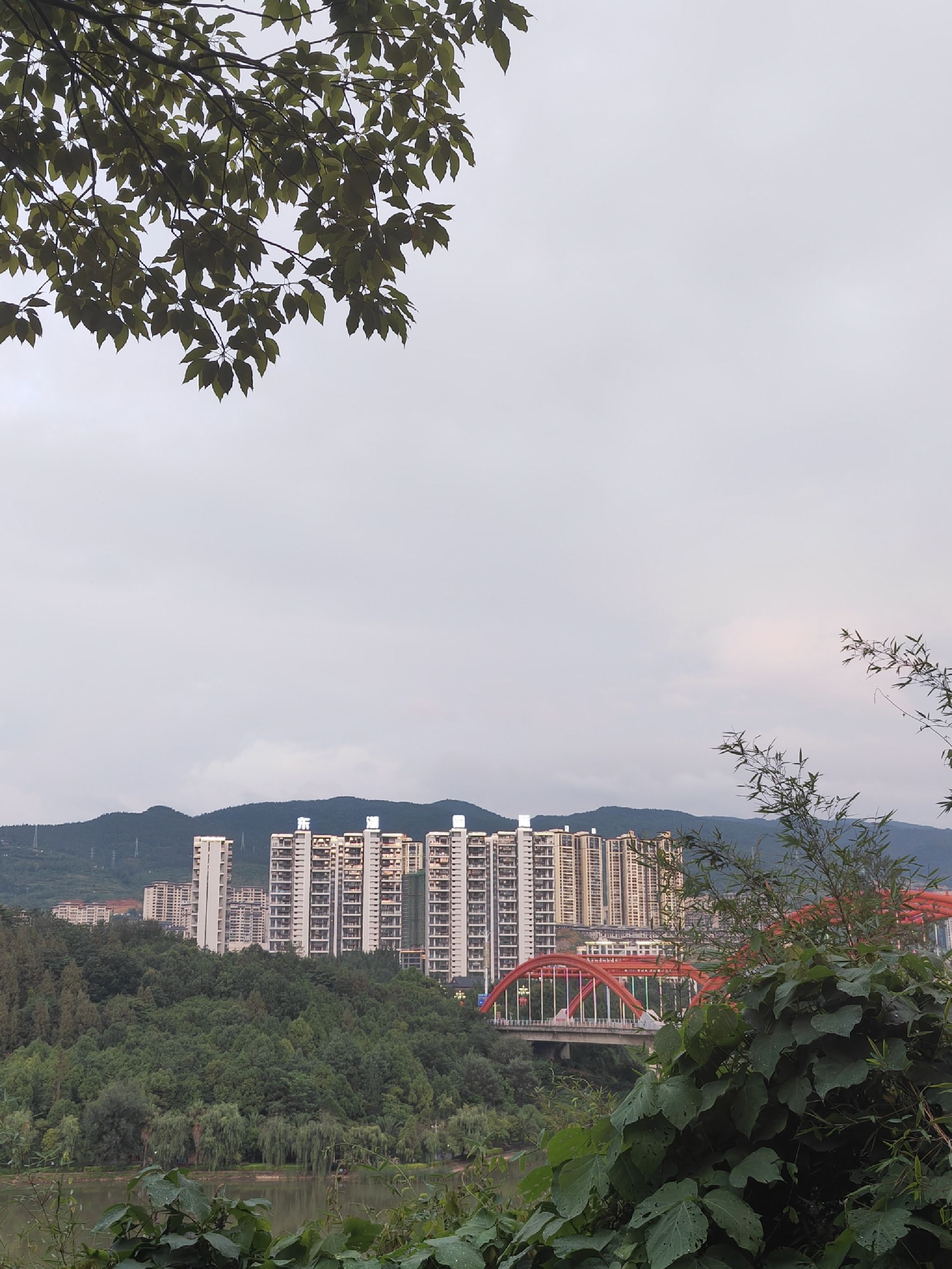 东湖公园旅行图片 1