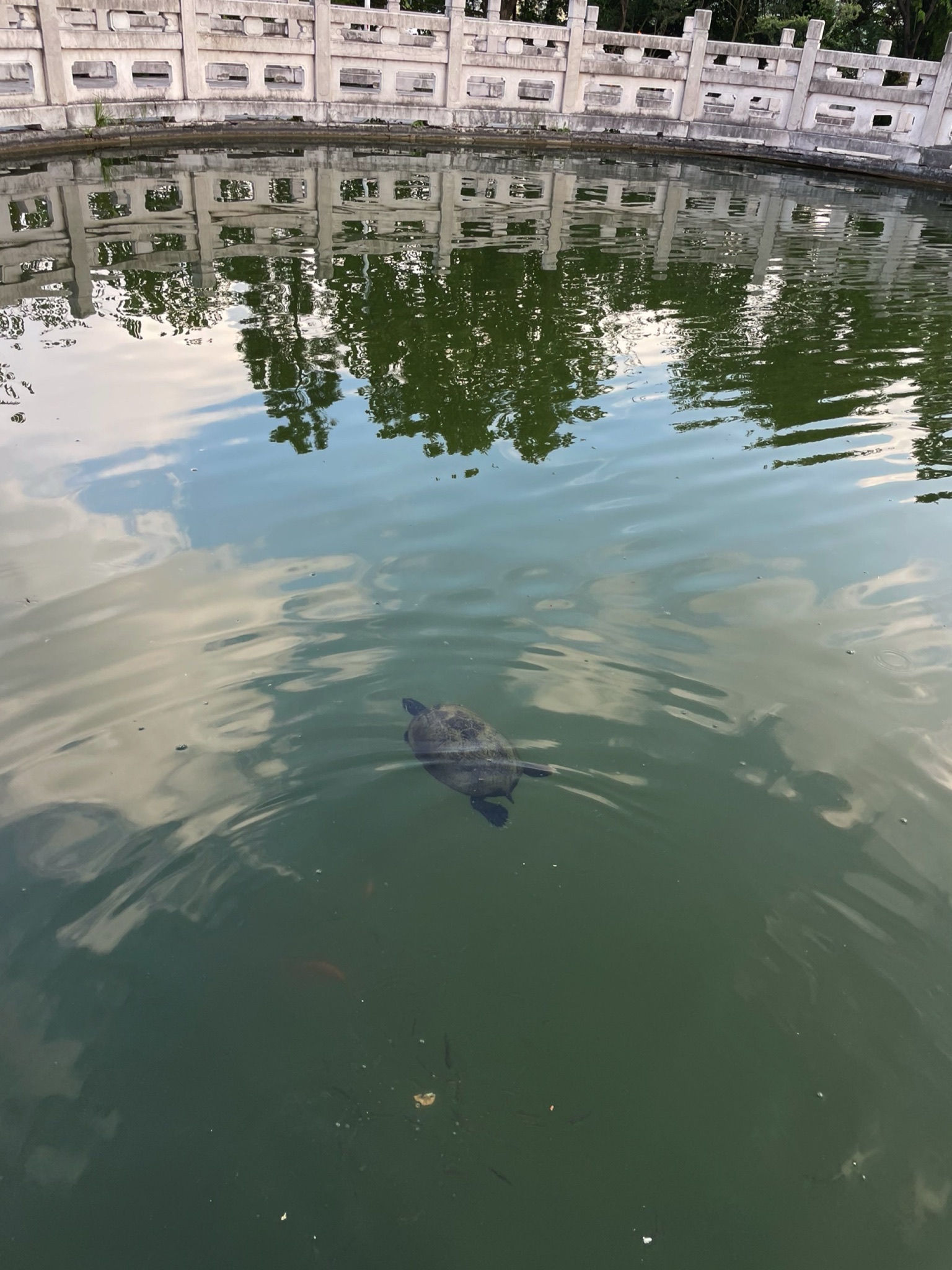 翠屏公园旅行图片 1