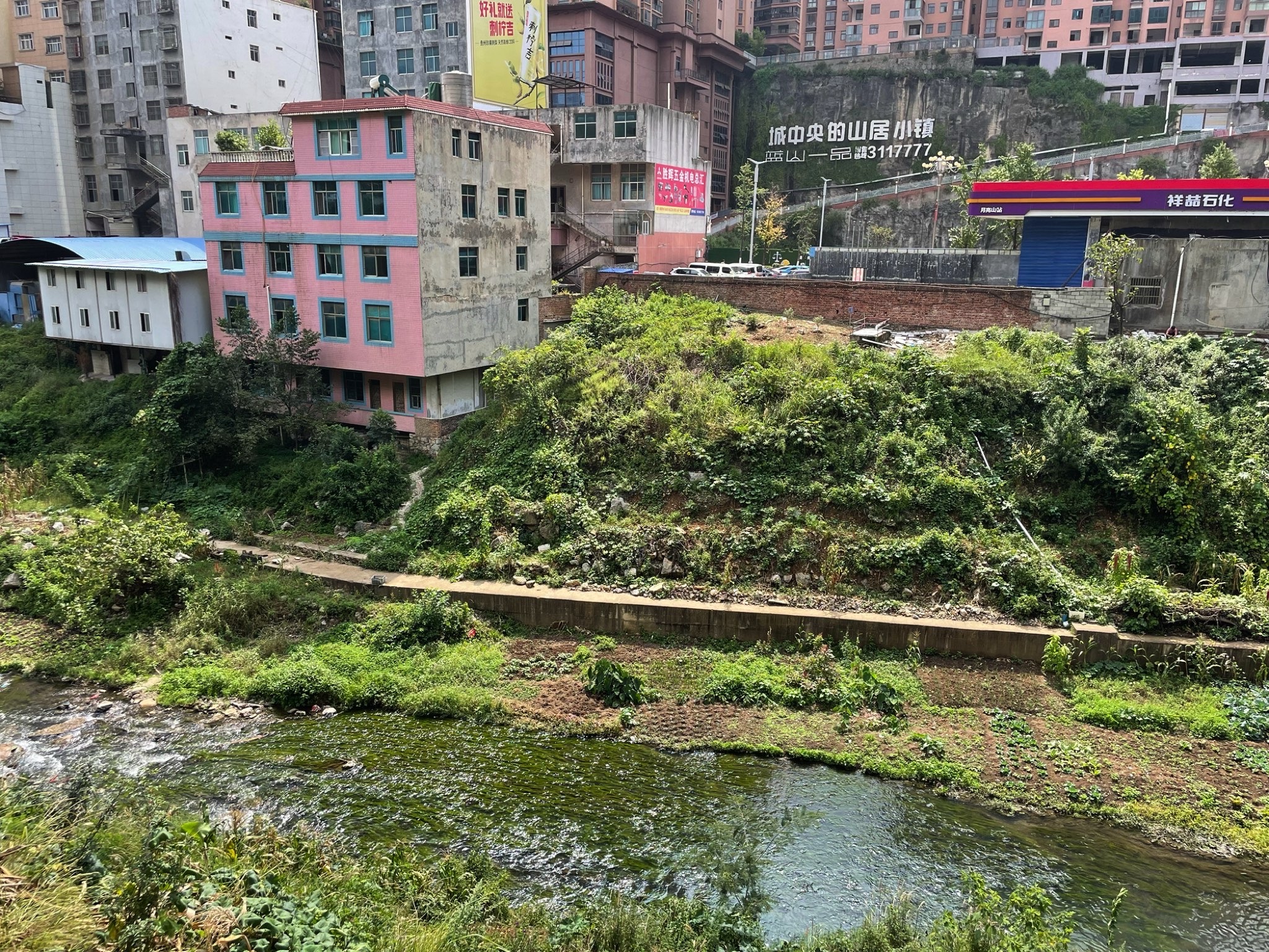 翠屏公园旅行图片 2