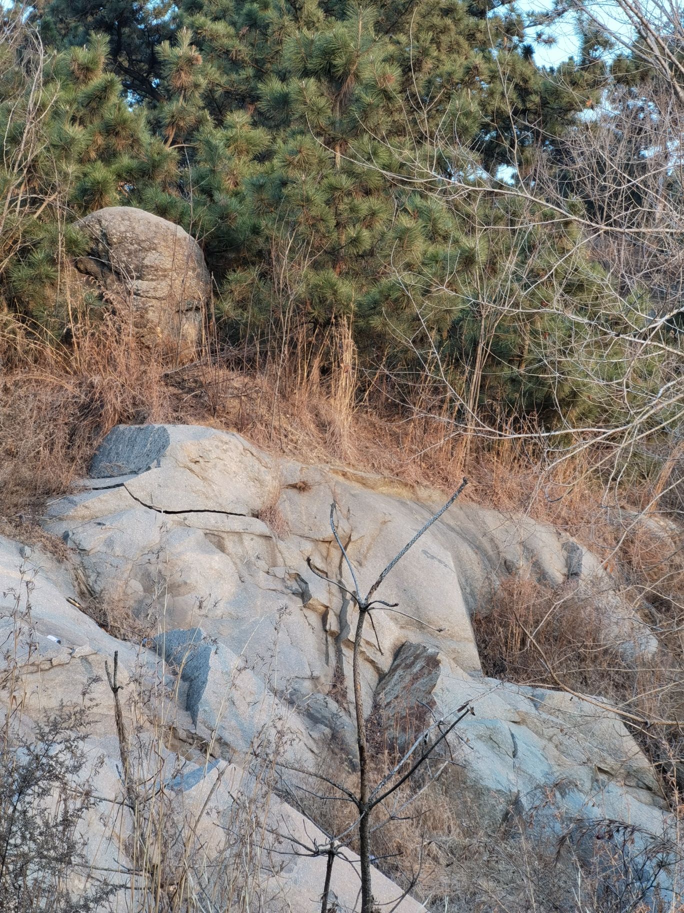 气脉山公园旅行图片 1
