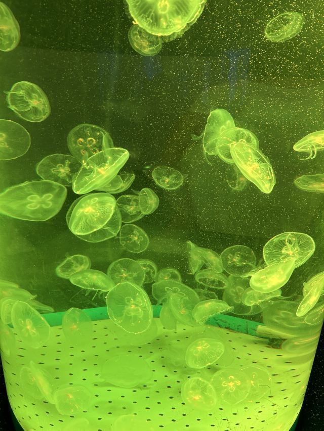 福州罗源湾海洋世界旅游度假区旅行图片 2