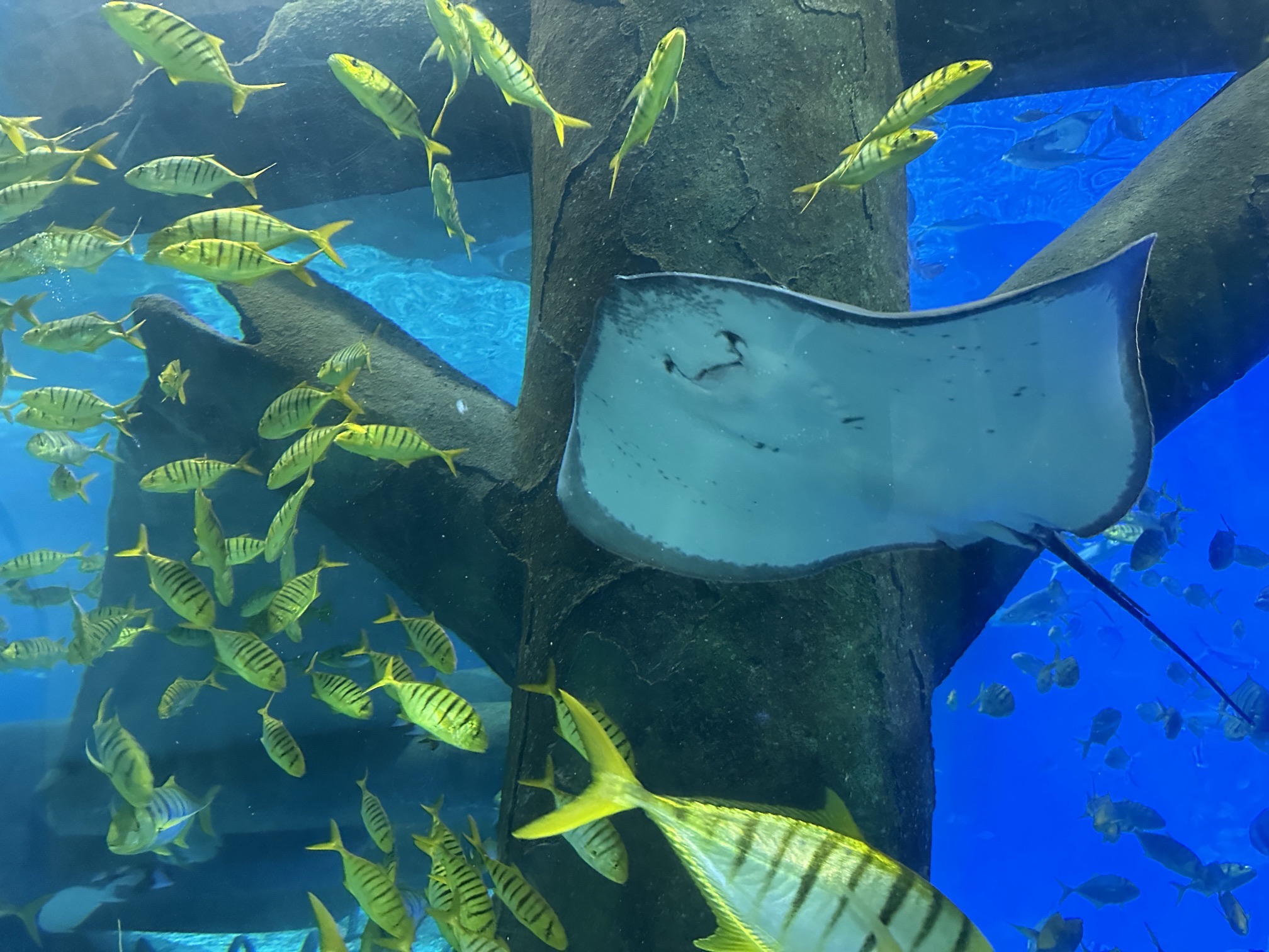 福州罗源湾海洋世界旅游度假区旅行图片 2