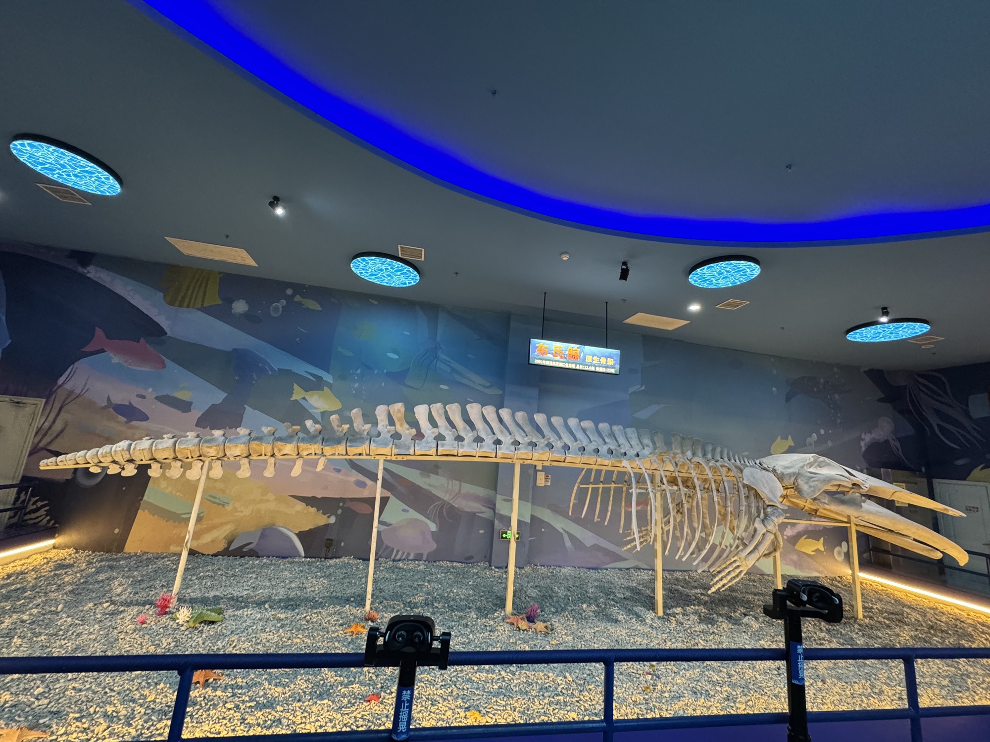福州罗源湾海洋世界旅游度假区旅行图片 3