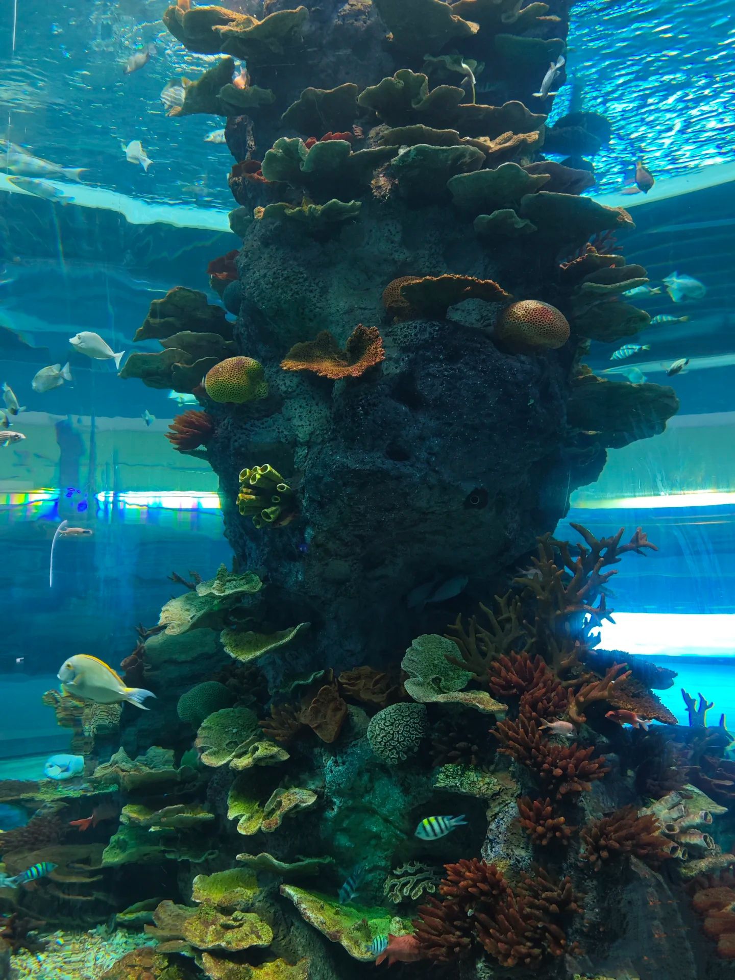 福州罗源湾海洋世界旅游度假区旅行图片 1