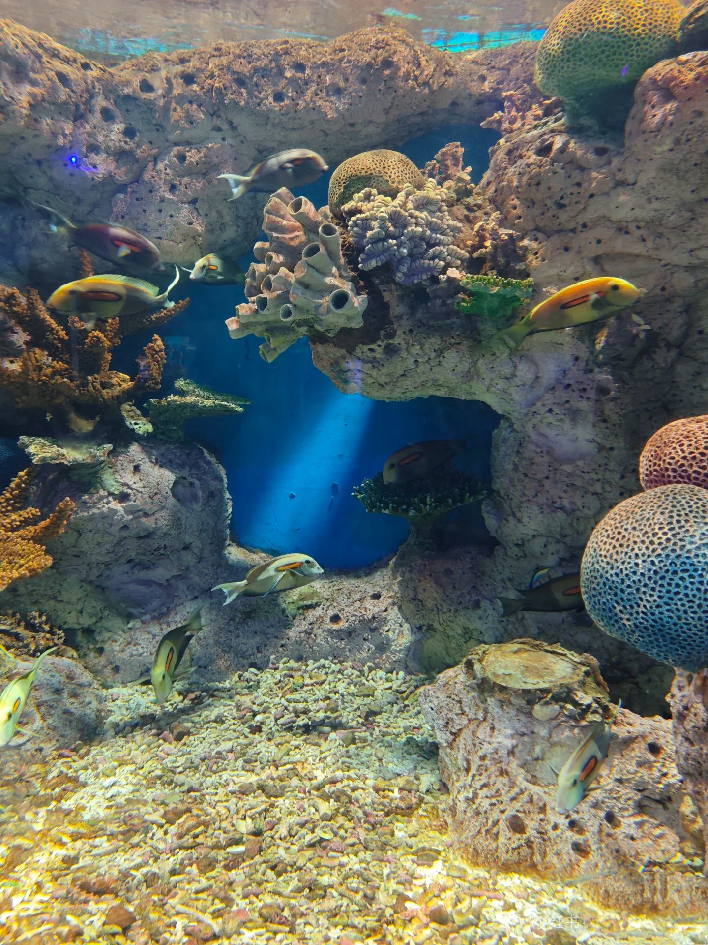 福州罗源湾海洋世界旅游度假区旅行图片 3
