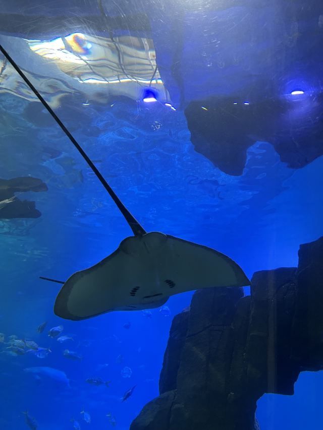 福州罗源湾海洋世界旅游度假区旅行图片 3