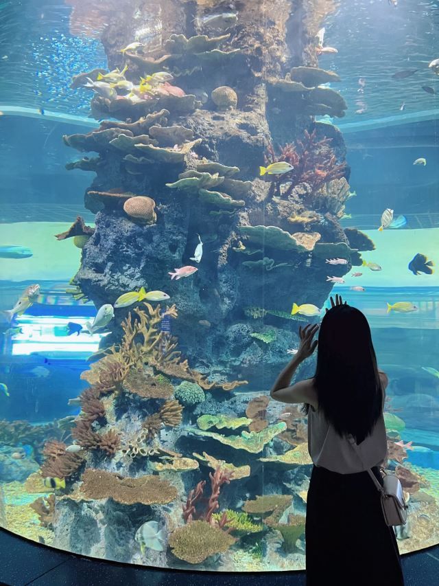 福州罗源湾海洋世界旅游度假区旅行图片 1