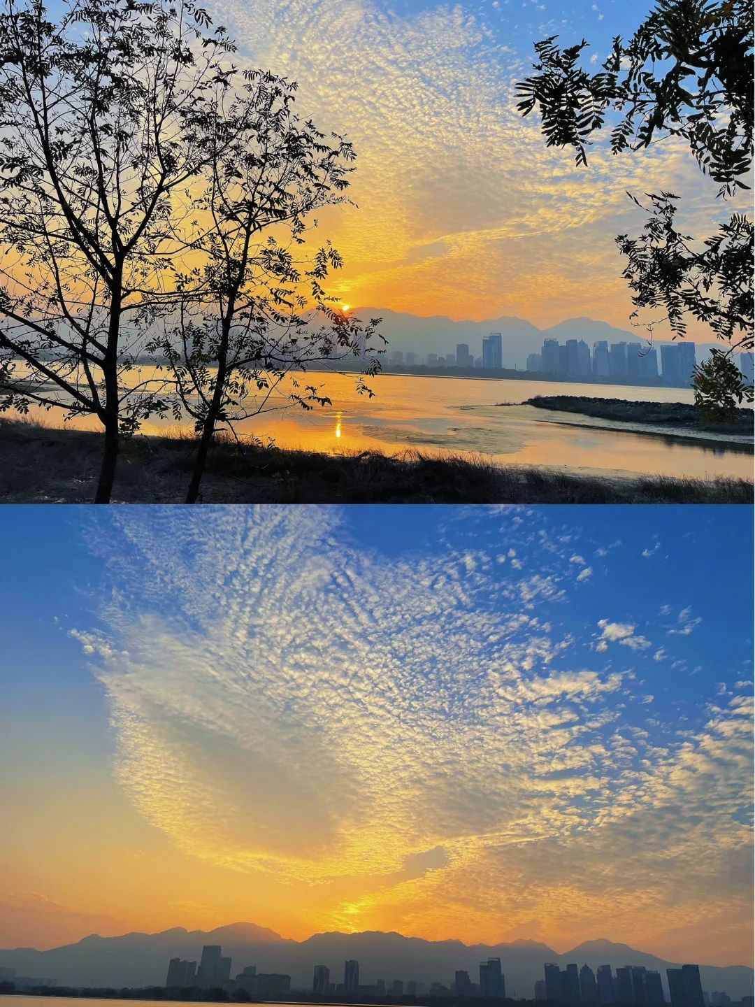 乌龙江湿地公园旅行图片 1